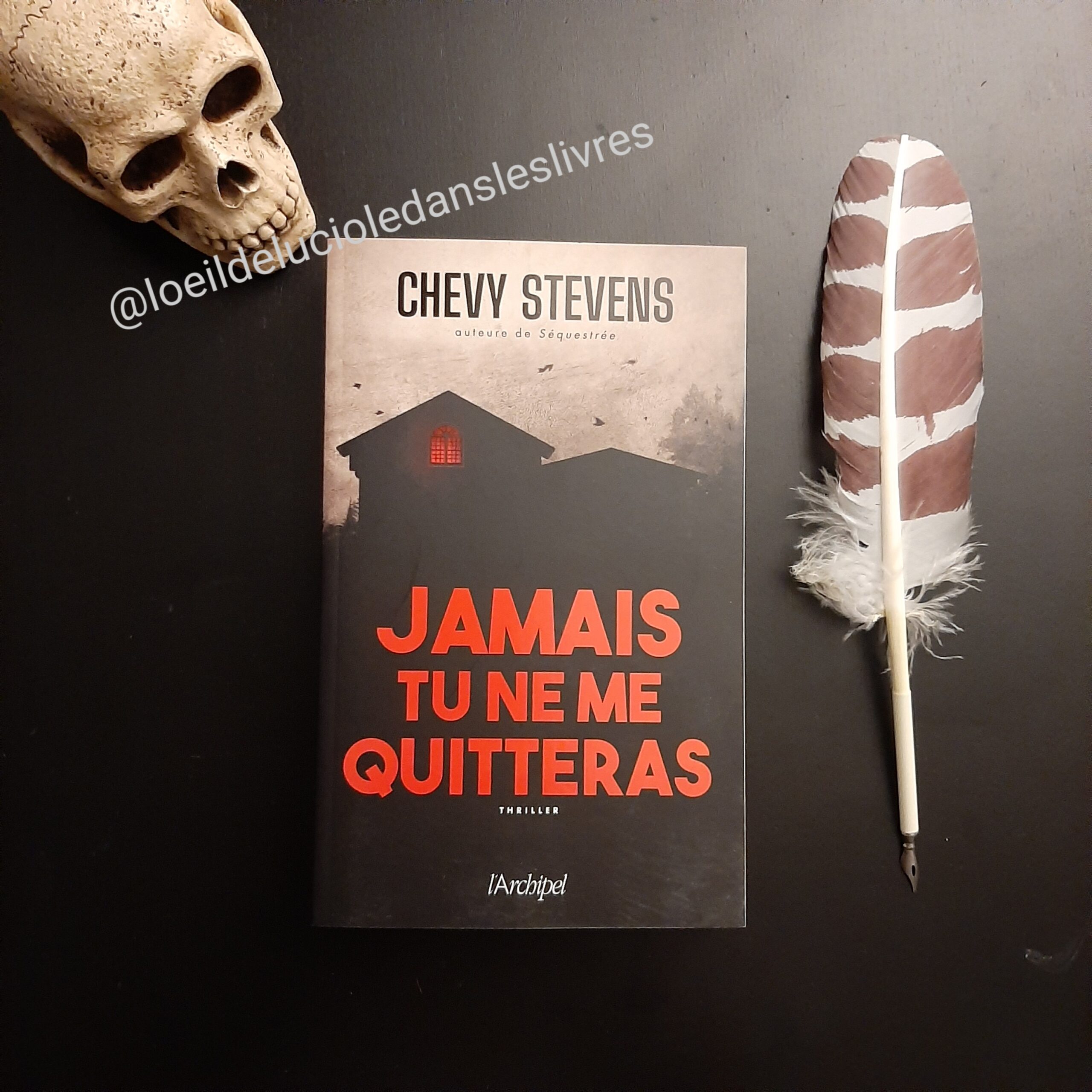 Jamais tu ne me quitteras de Chevy Stevens