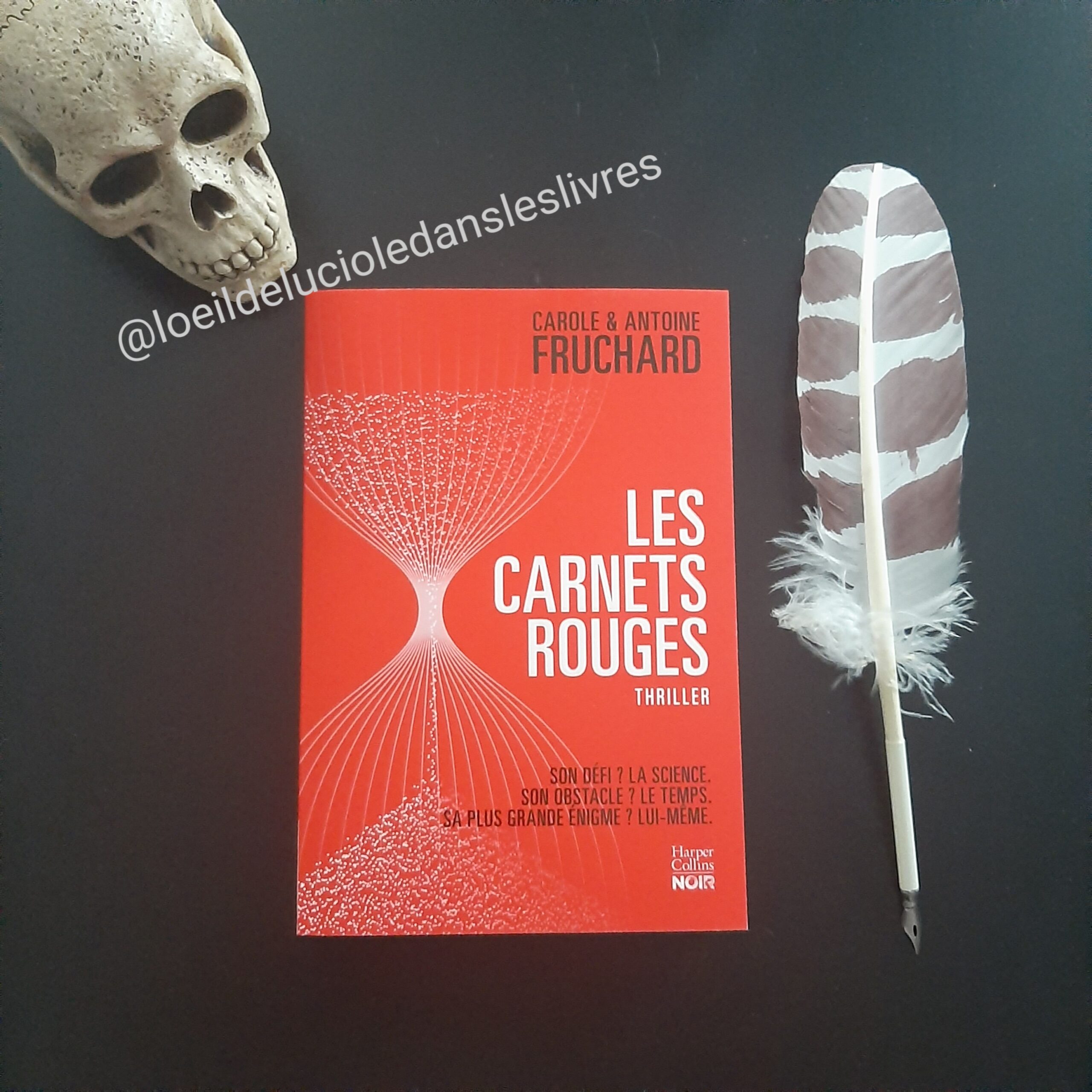 Les carnets rouges de Caroline et Antoine Fruchard