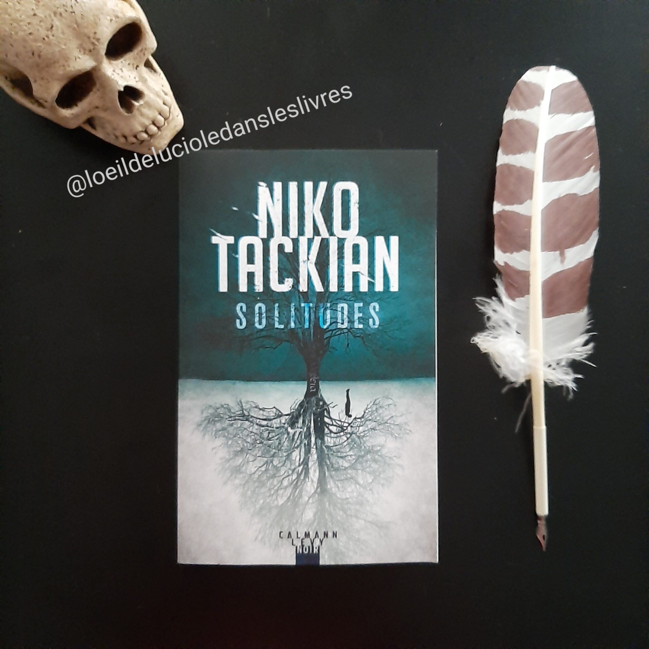 Solitudes de Niko Tackian