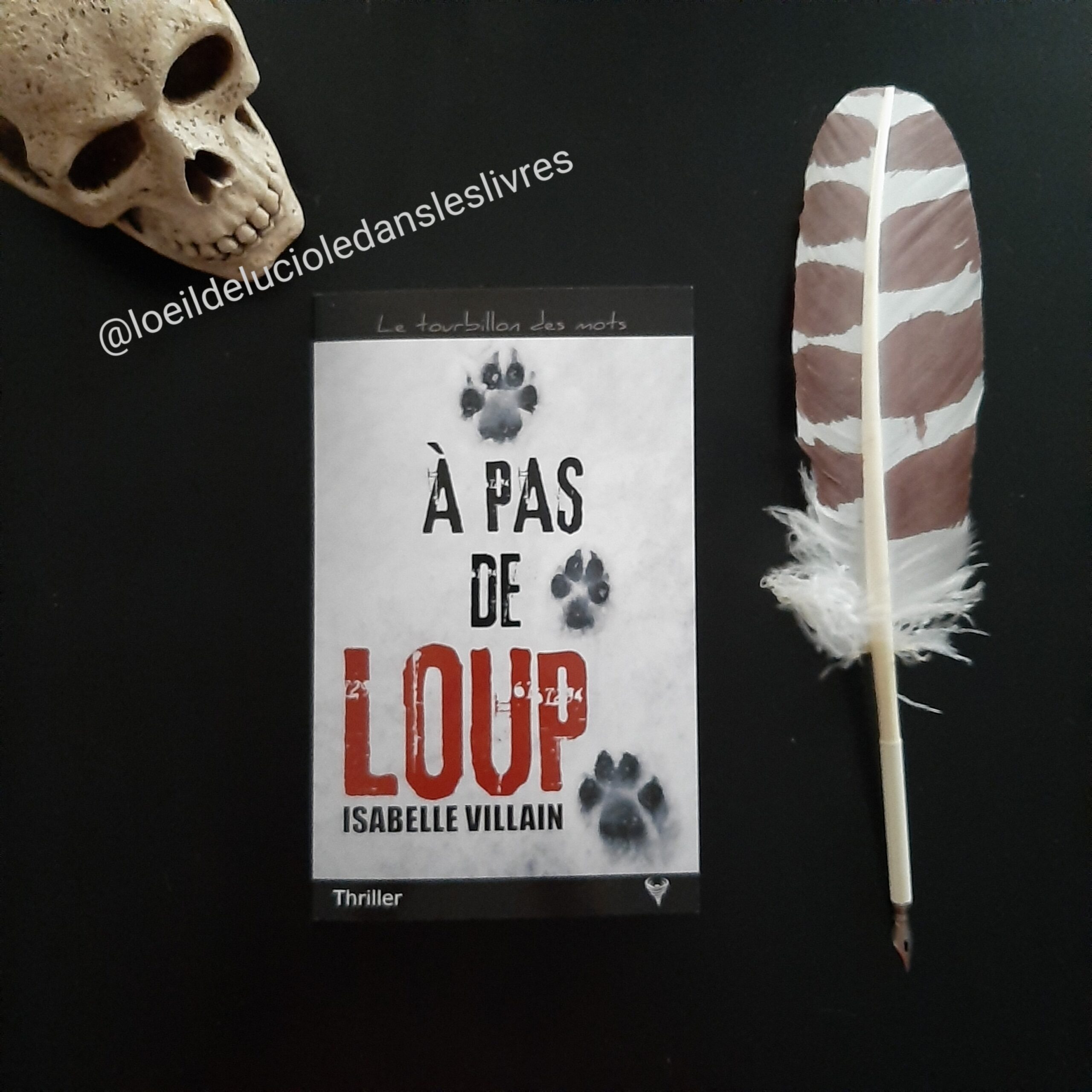 À pas de loup d’Isabelle Villain