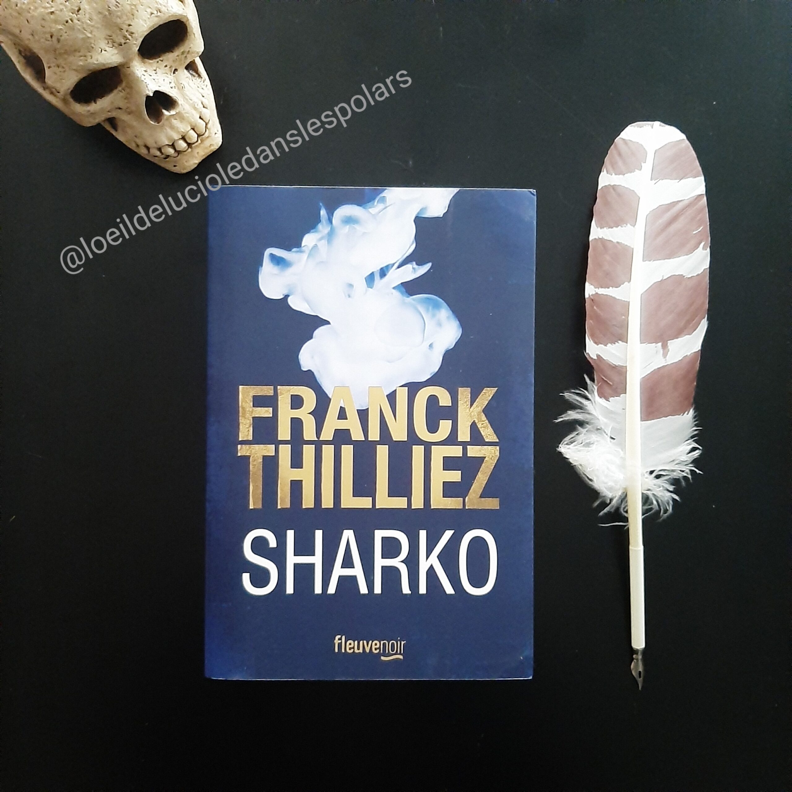 Sharko de Franck Thilliez