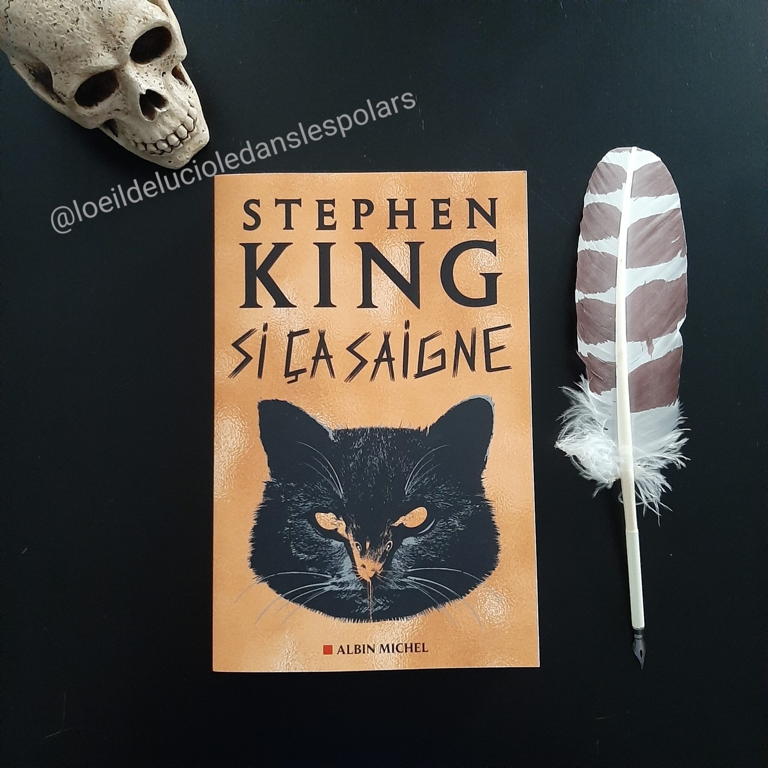 Si ça saigne de Stephen King