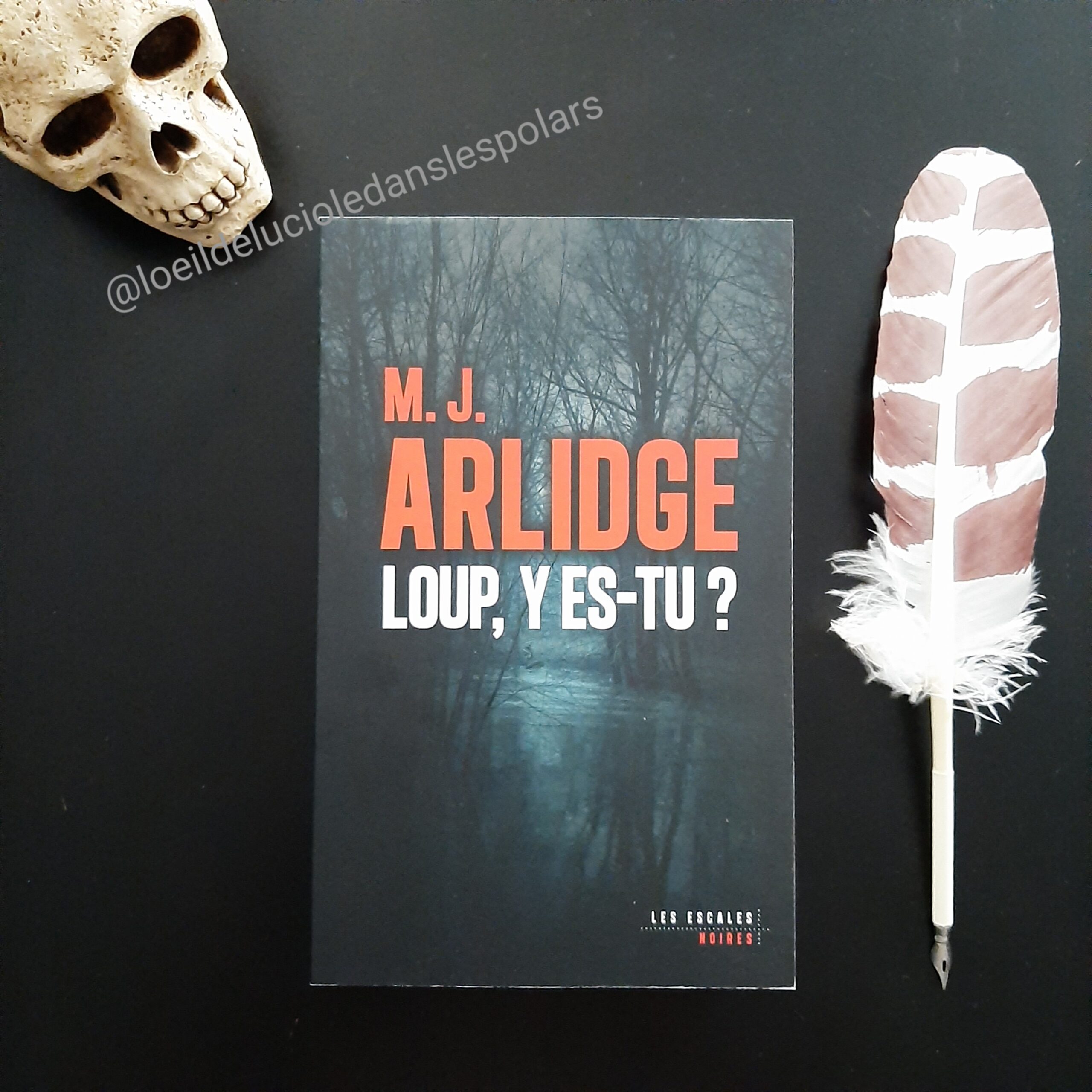 Loup y es-tu ? de M.J. Arlidge