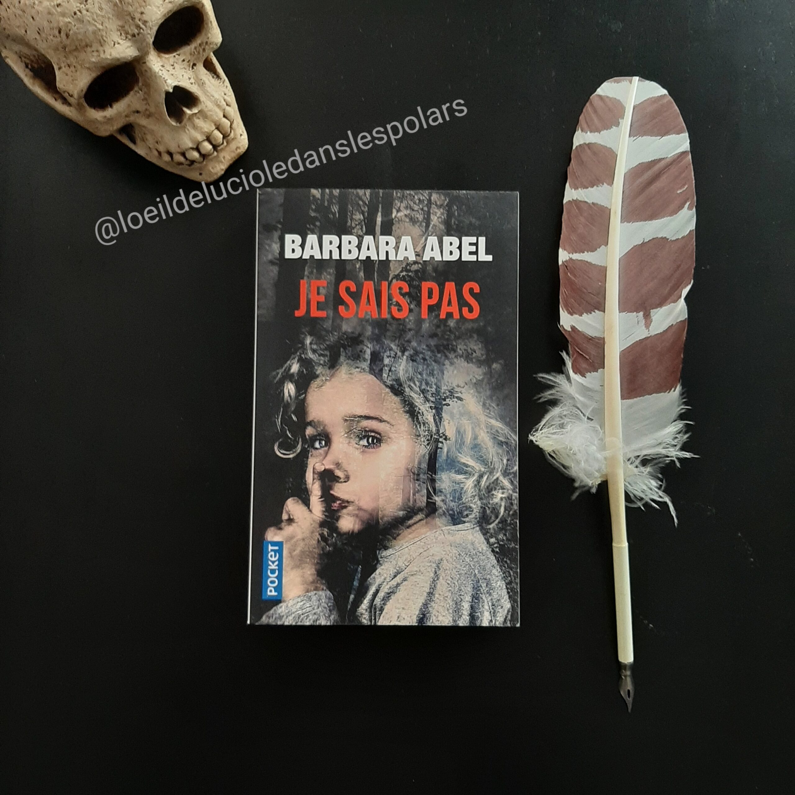 Je sais pas de Barbara Abel