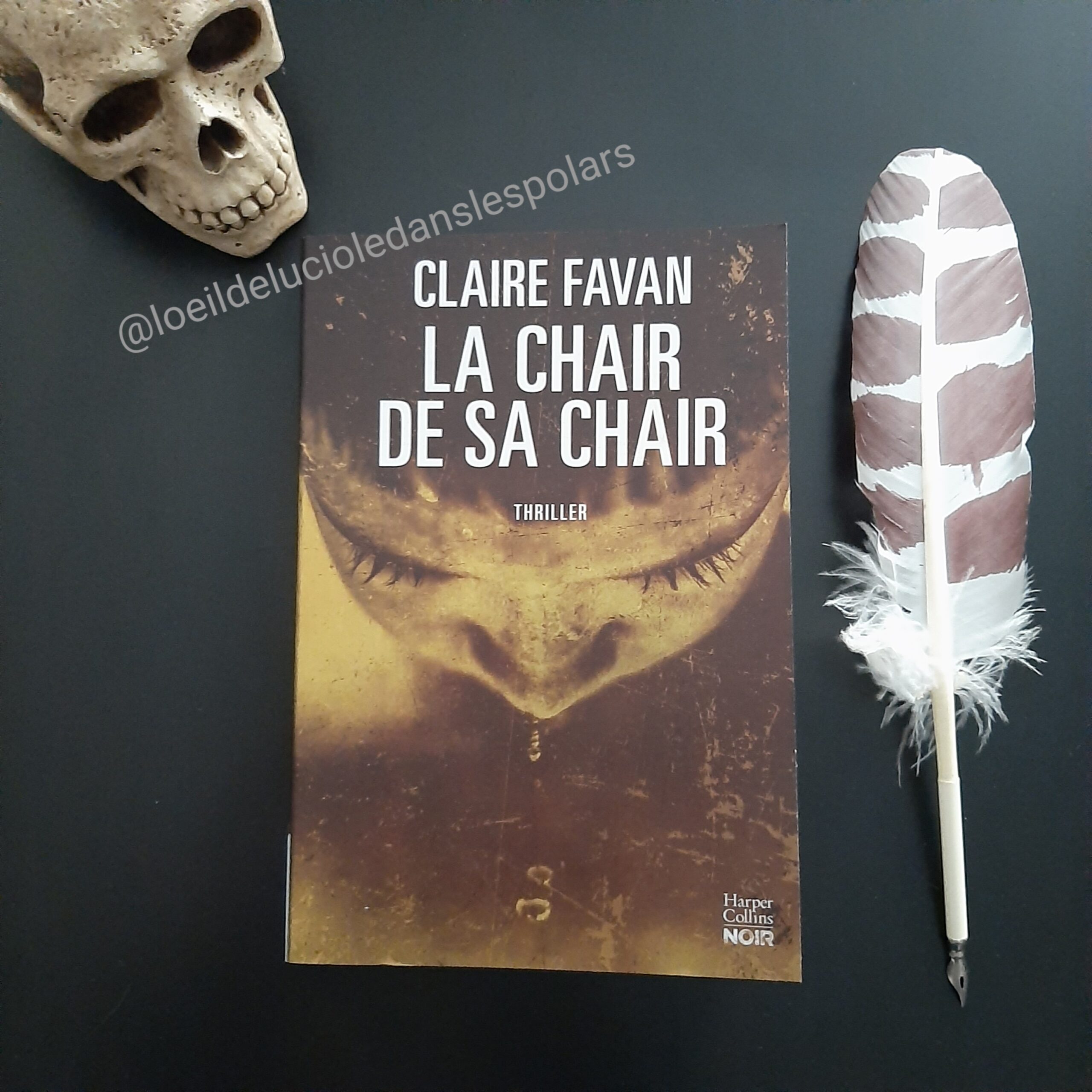 La chair de sa chair de Claire Favan