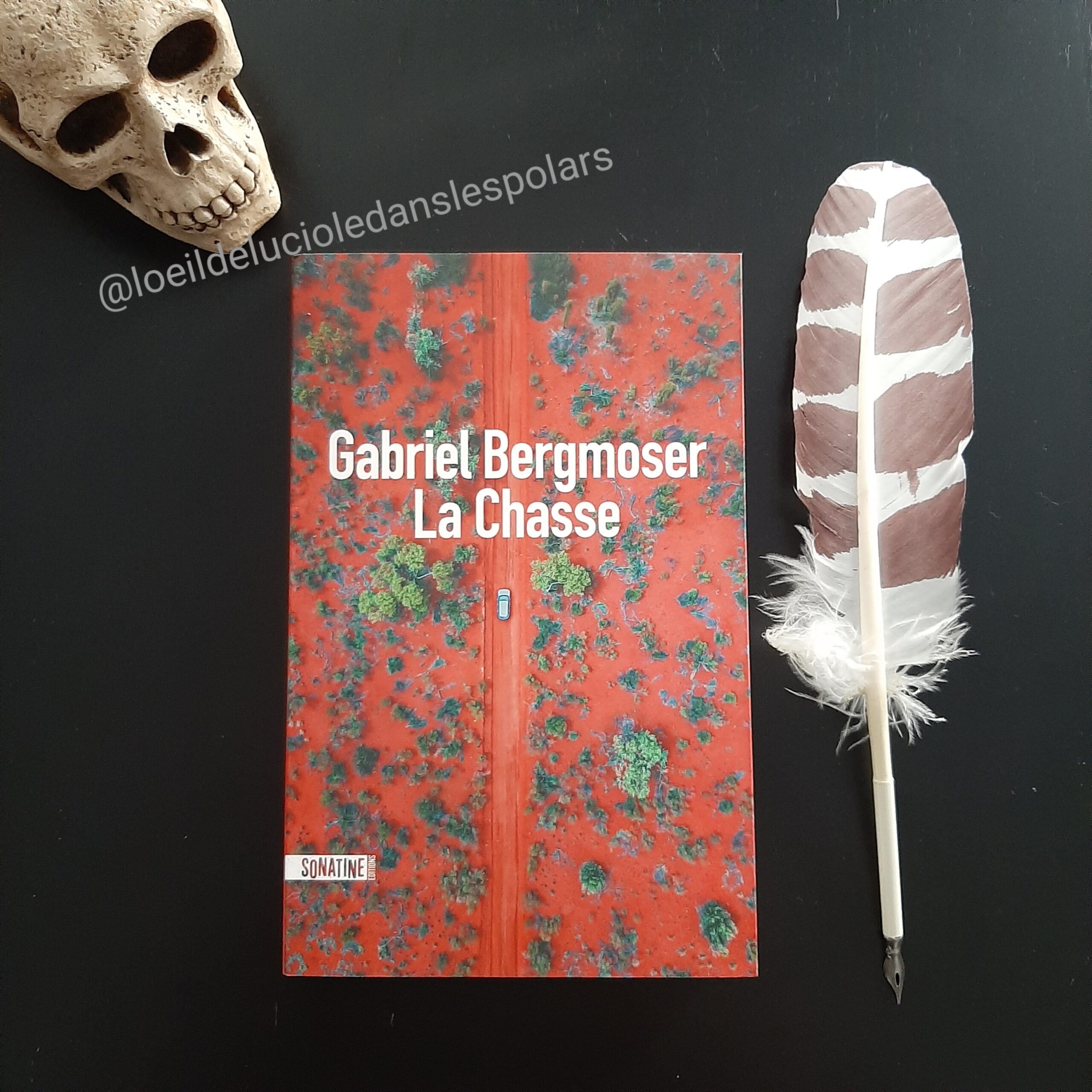 La chasse de Gabriel Bergmoser