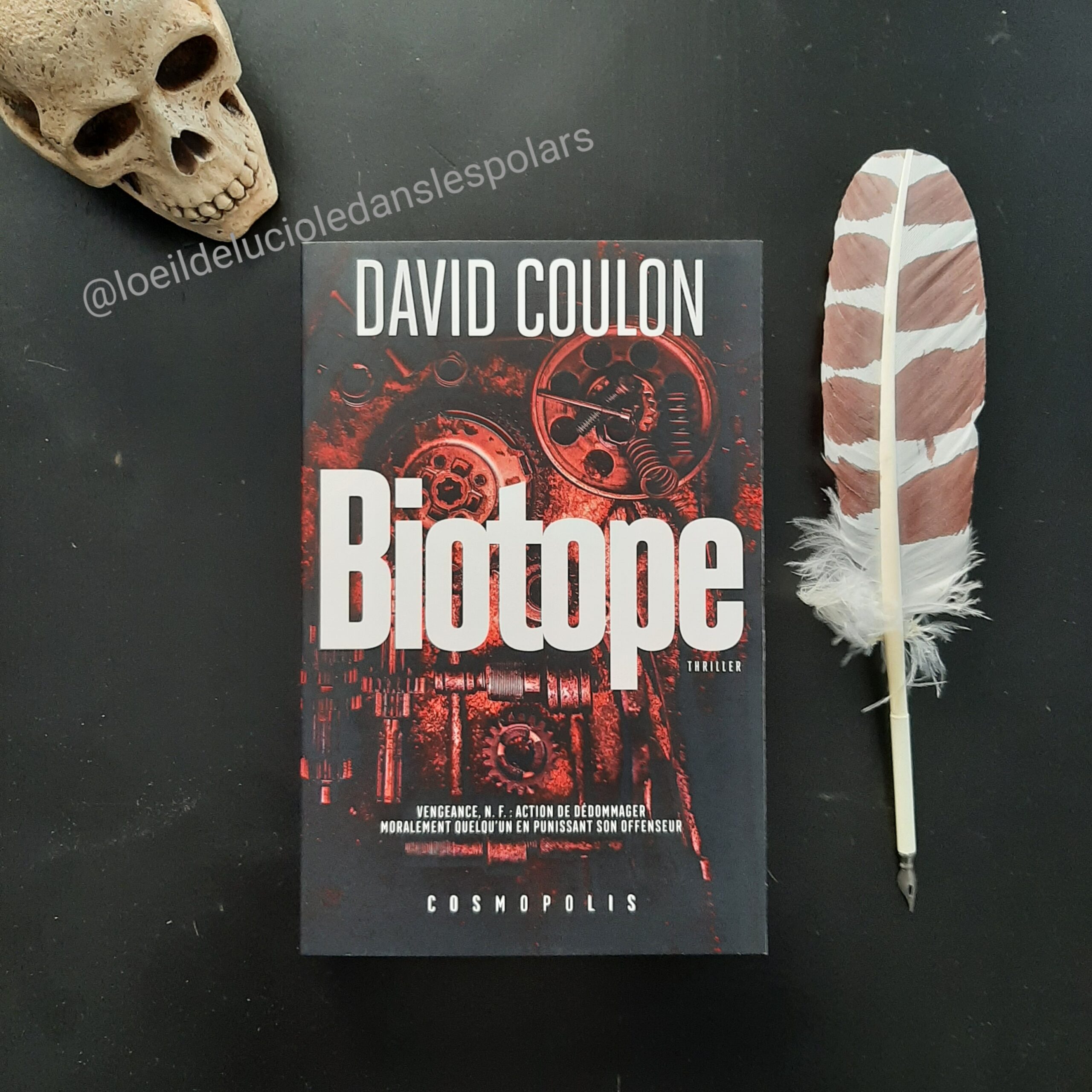 Biotope de David Coulon