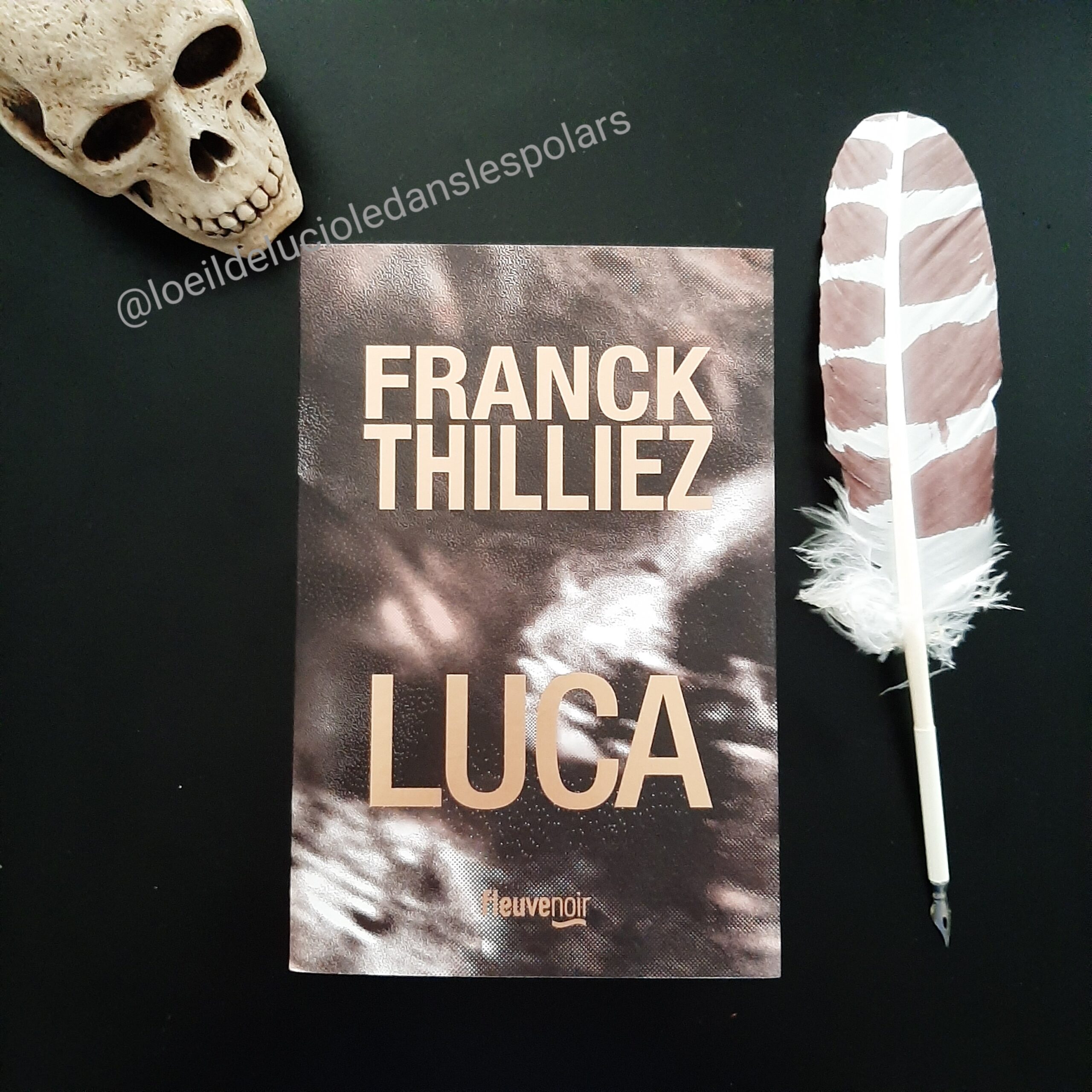 Luca de Franck Thilliez