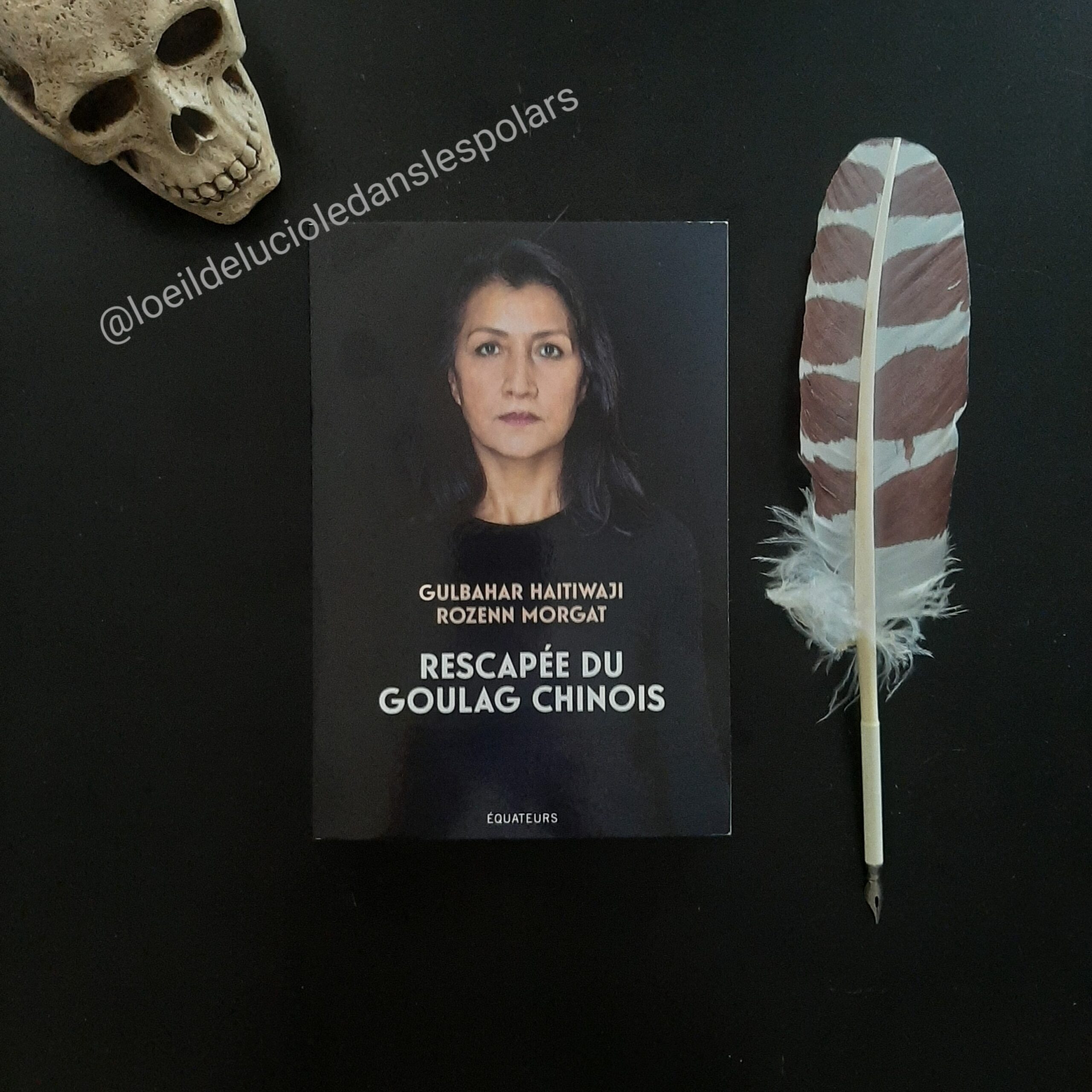 Rescapée du goulag chinois de Rozenn Morgat et Gulbahar Haitiwaji