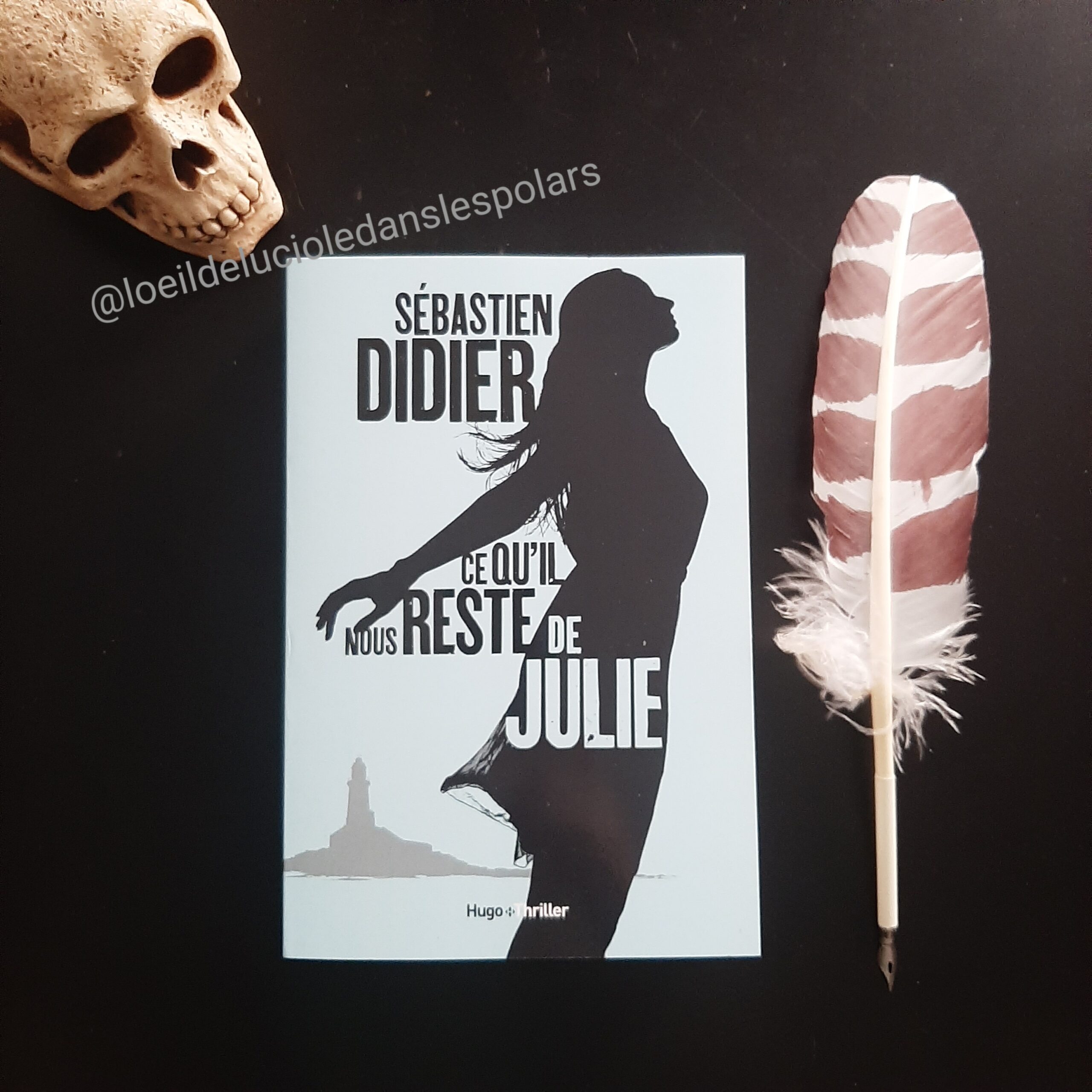 Ce qu’il nous reste de Julie de Sébastien Didier