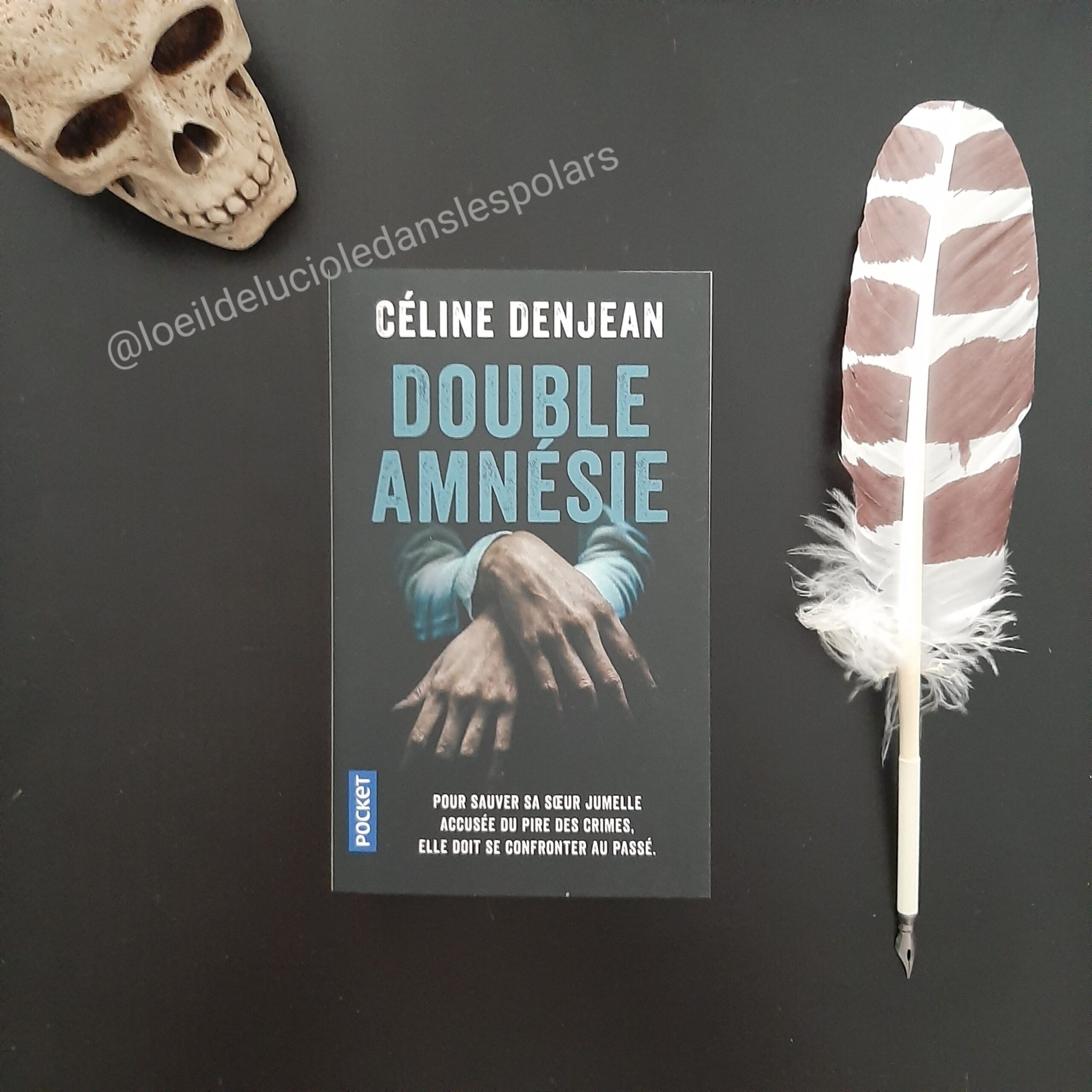 Double amnésie de Céline Denjean