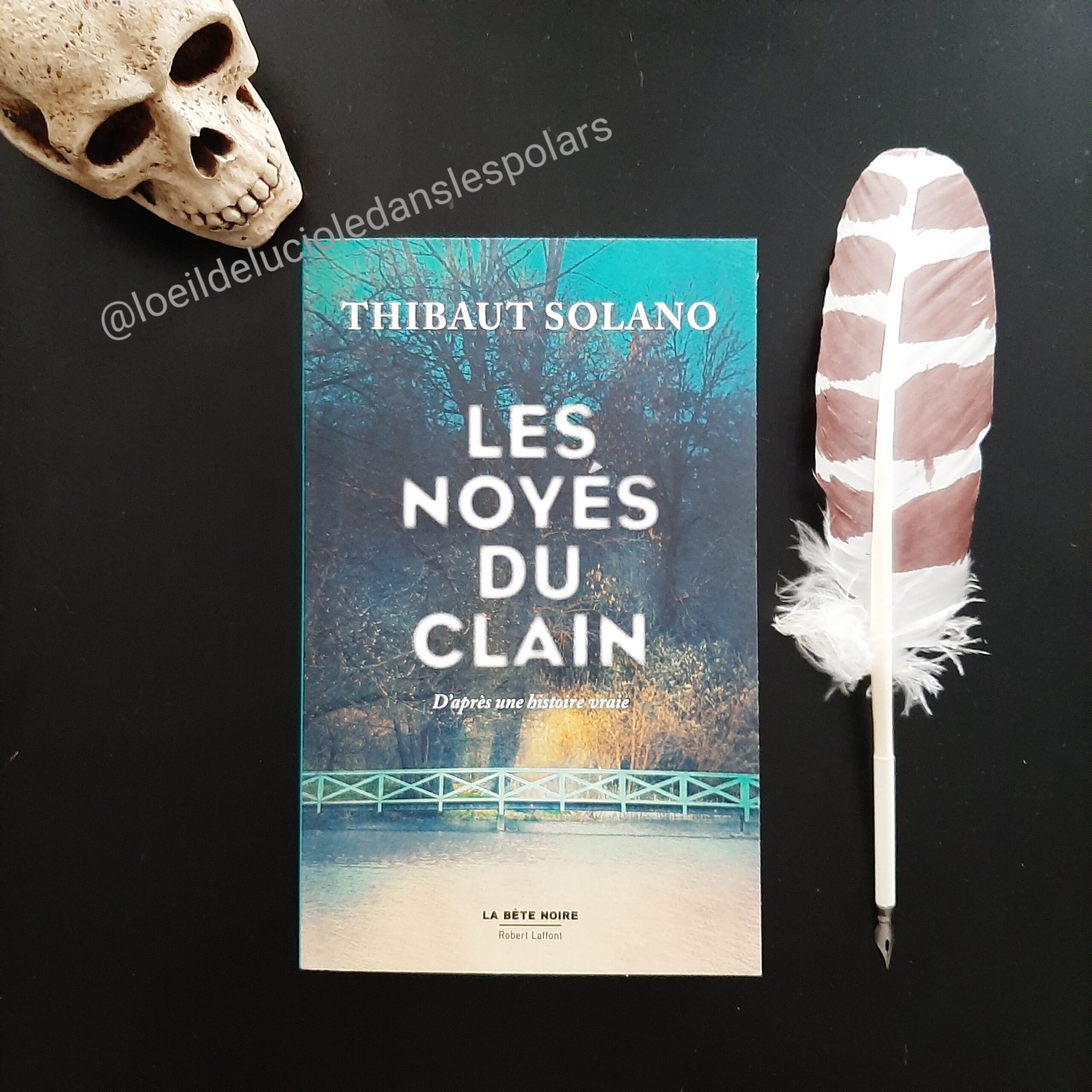 Les noyés du Clain de Thibaut Solano