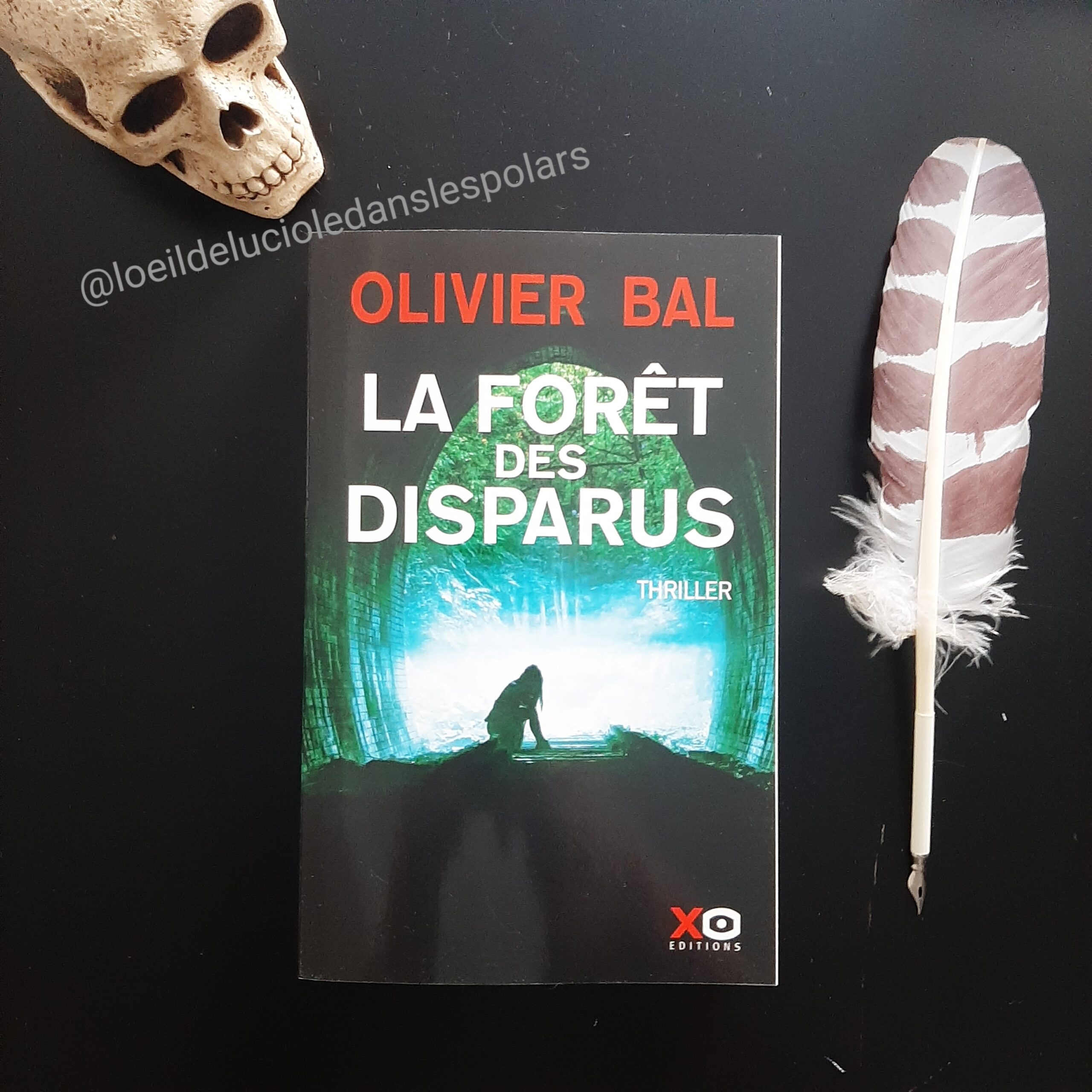 La forêt des disparus d’Olivier Bal