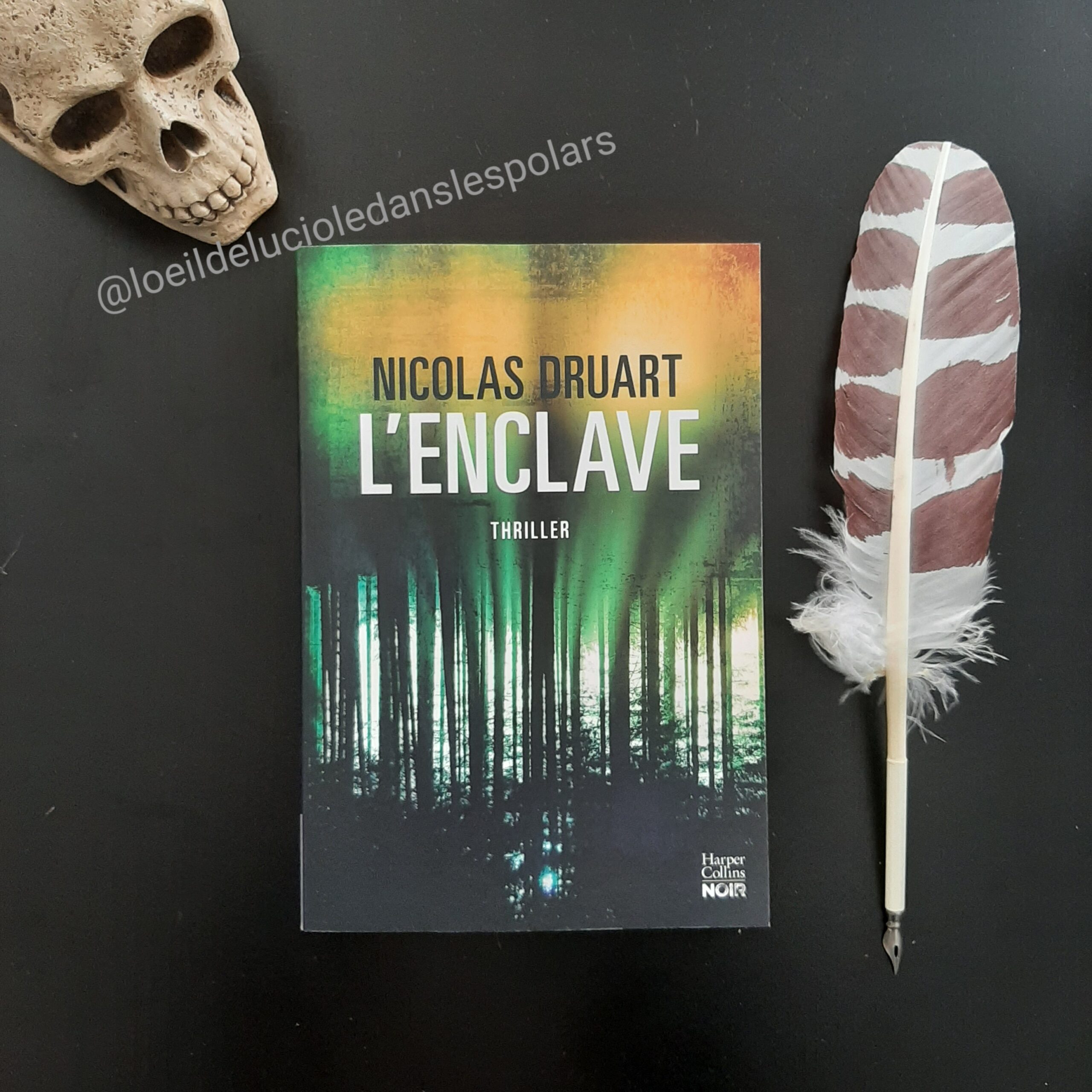 L’Enclave de Nicolas Druart