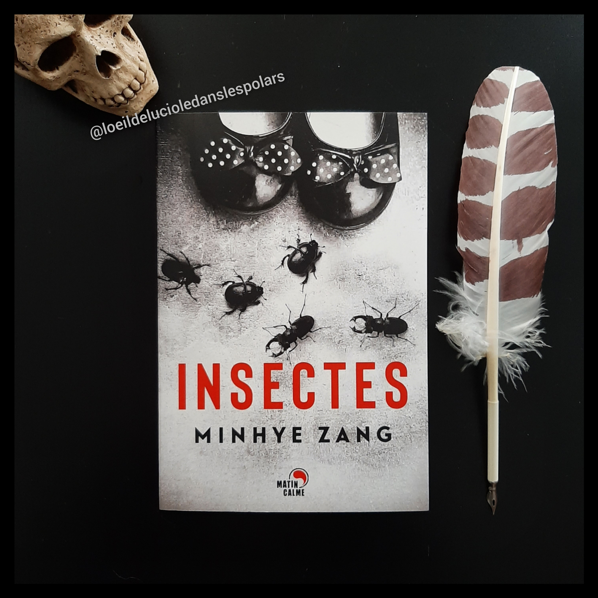 Insectes de Minhye Zang