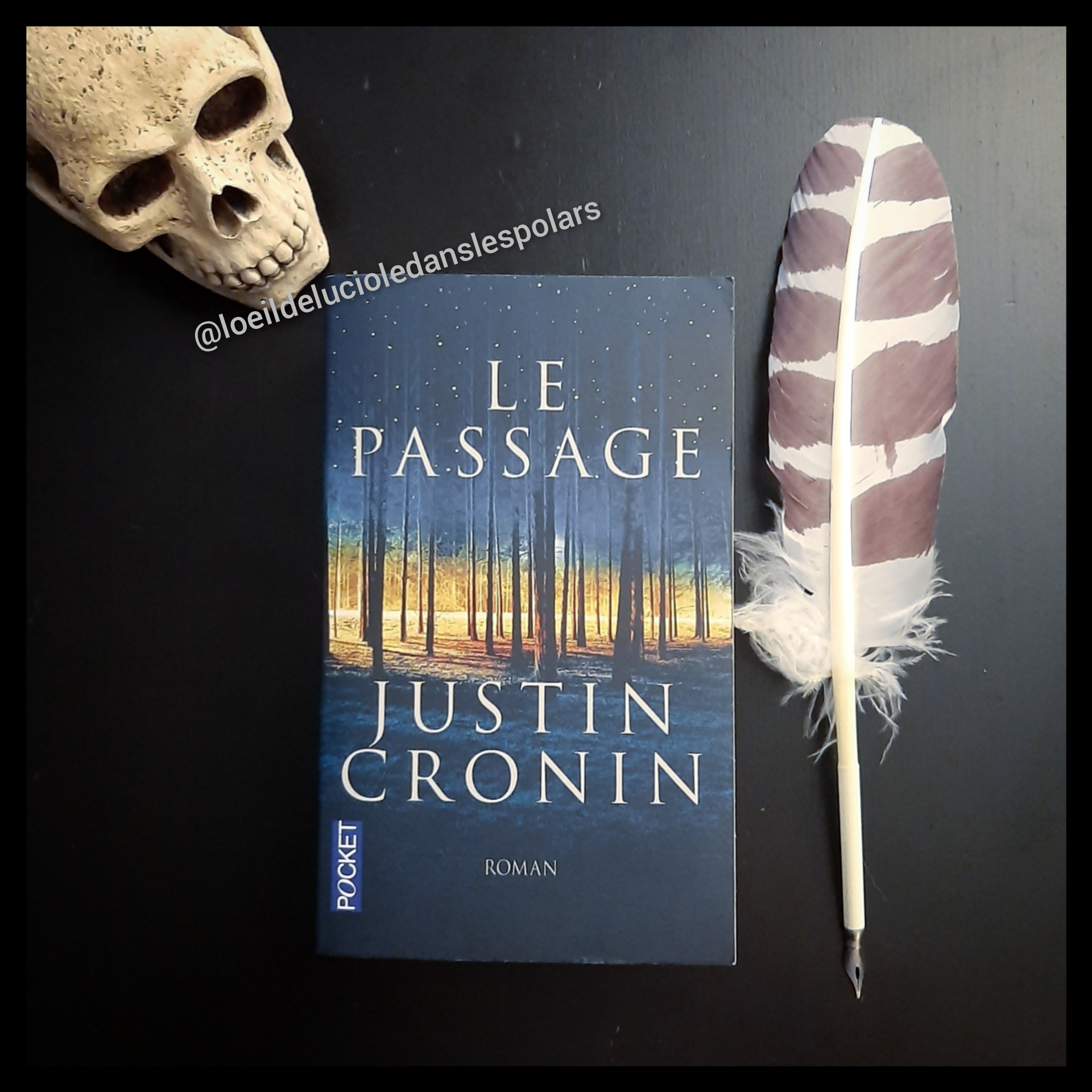 Le Passage de Justin Cronin