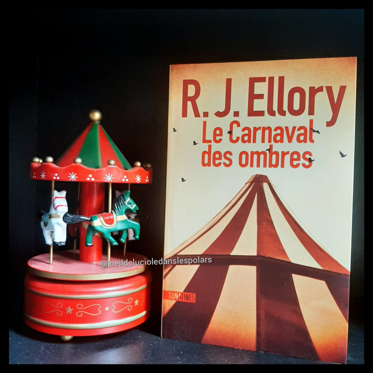 Le carnaval des ombres de R. J. Ellory