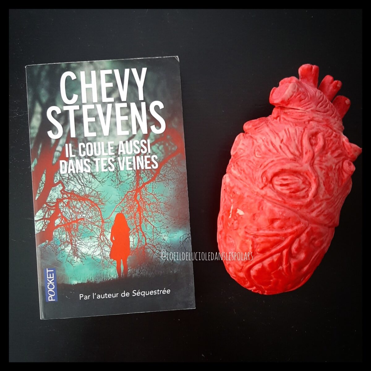 Il coule aussi dans tes veines de Chevy Stevens