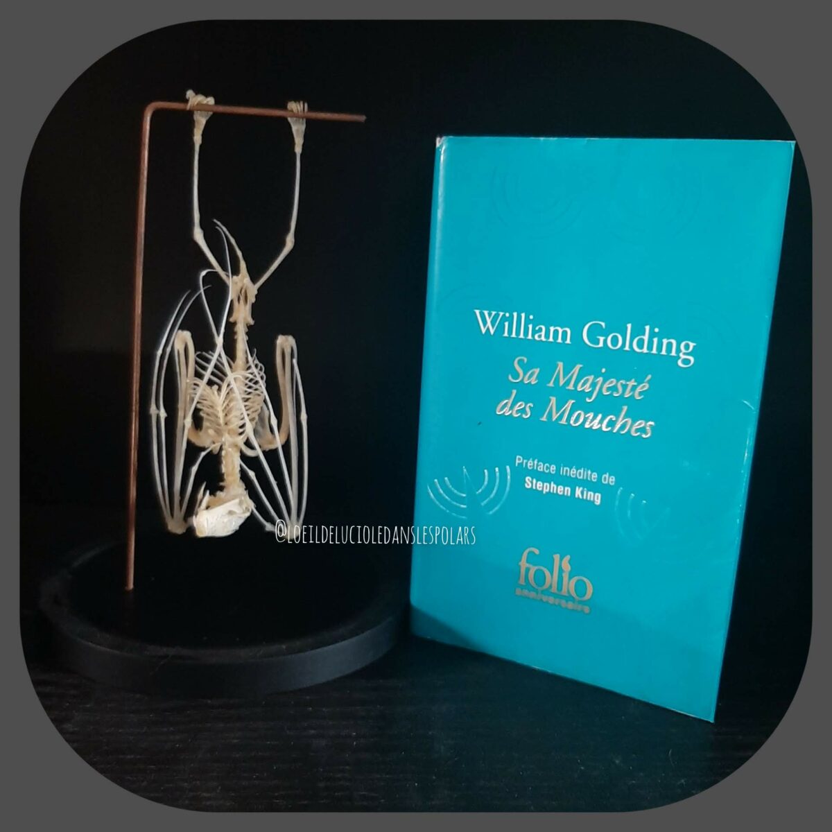 Sa majesté des mouches de William Golding