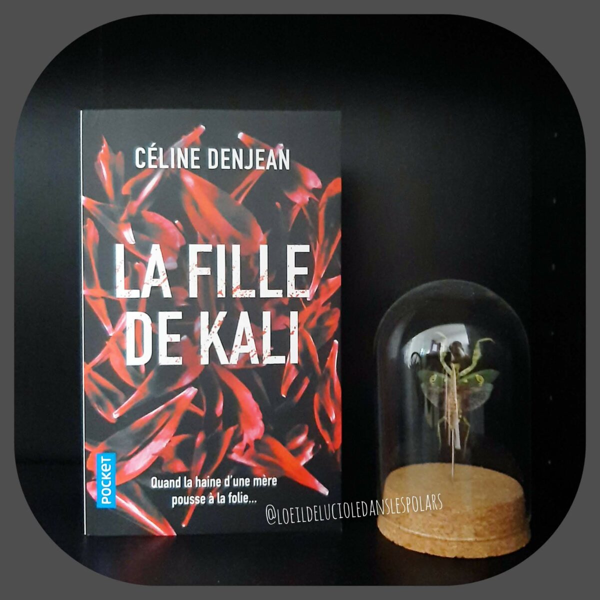 La fille de Kali de Céline Denjean