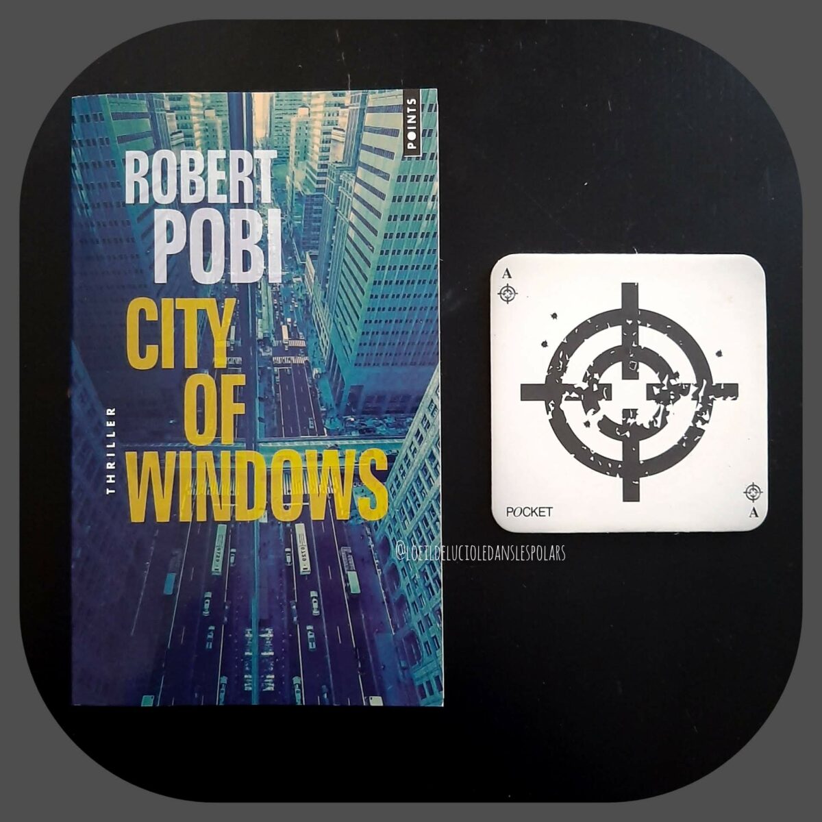 City of windows de Robert Pobi