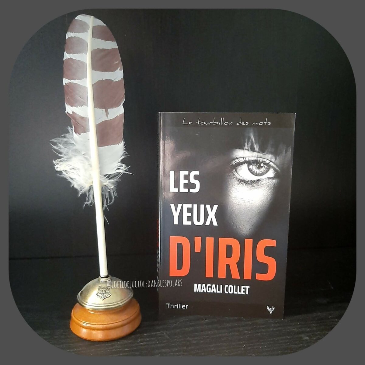 Les yeux d’Iris de Magali Collet