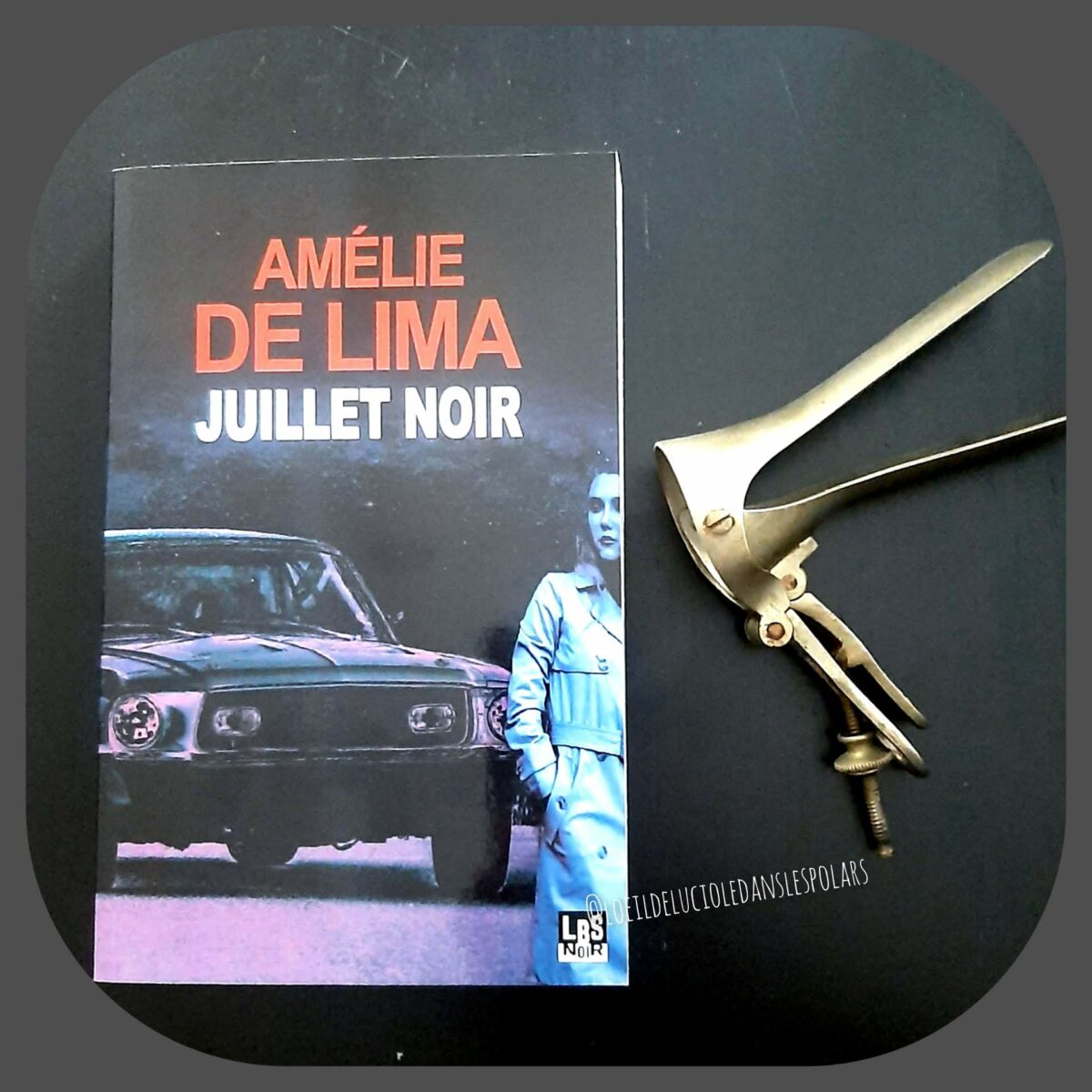 Juillet noir d’Amélie de Lima