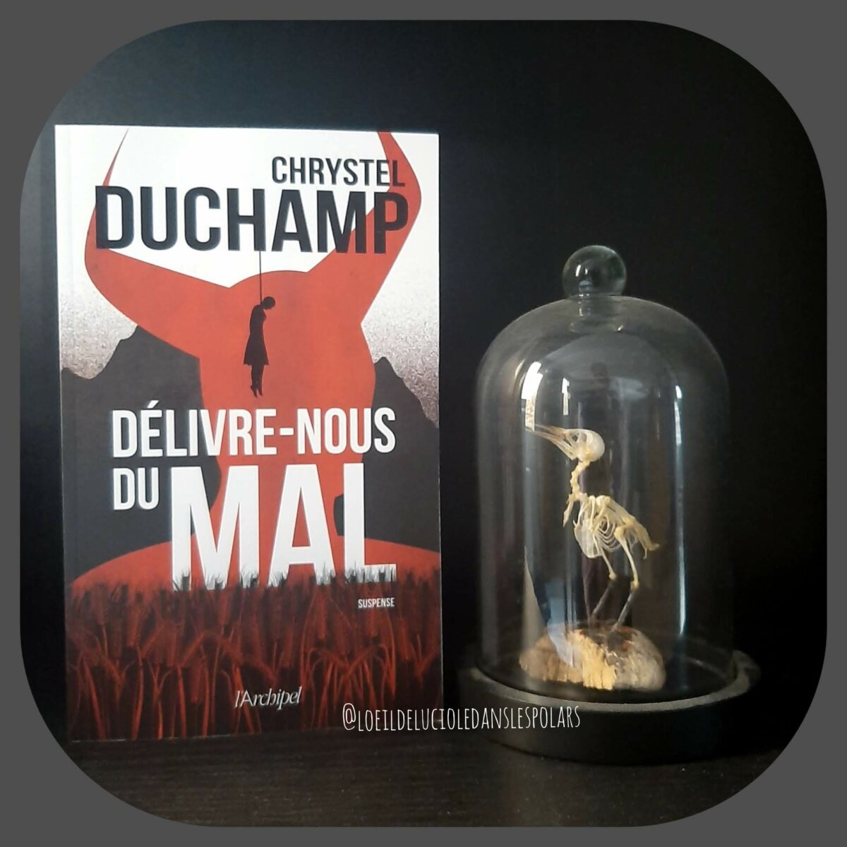 Délivre-nous du Mal de Chrystel Duchamp