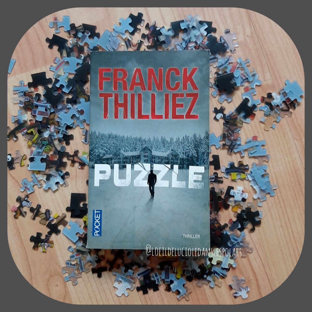 Puzzle de Franck Thilliez