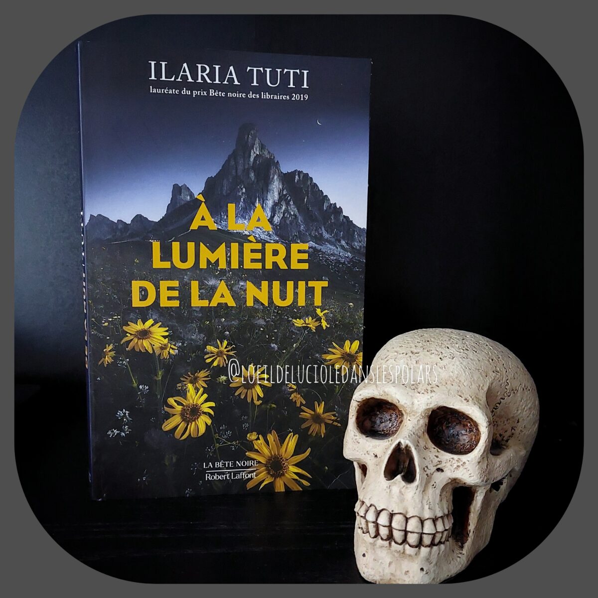 À la lumière de la nuit d’Ilaria Tuti