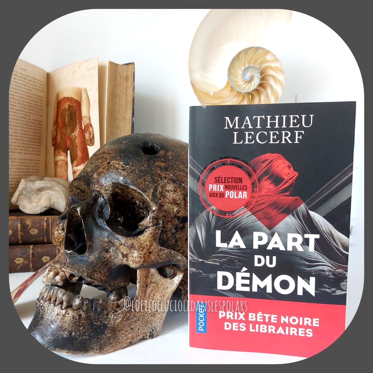 La part du démon de Mathieu Lecerf