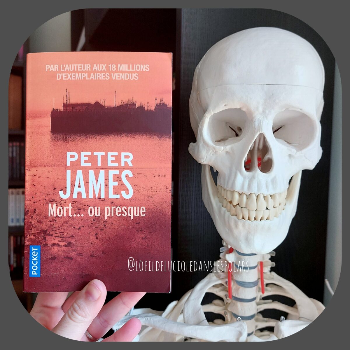 Mort… ou presque de Peter James