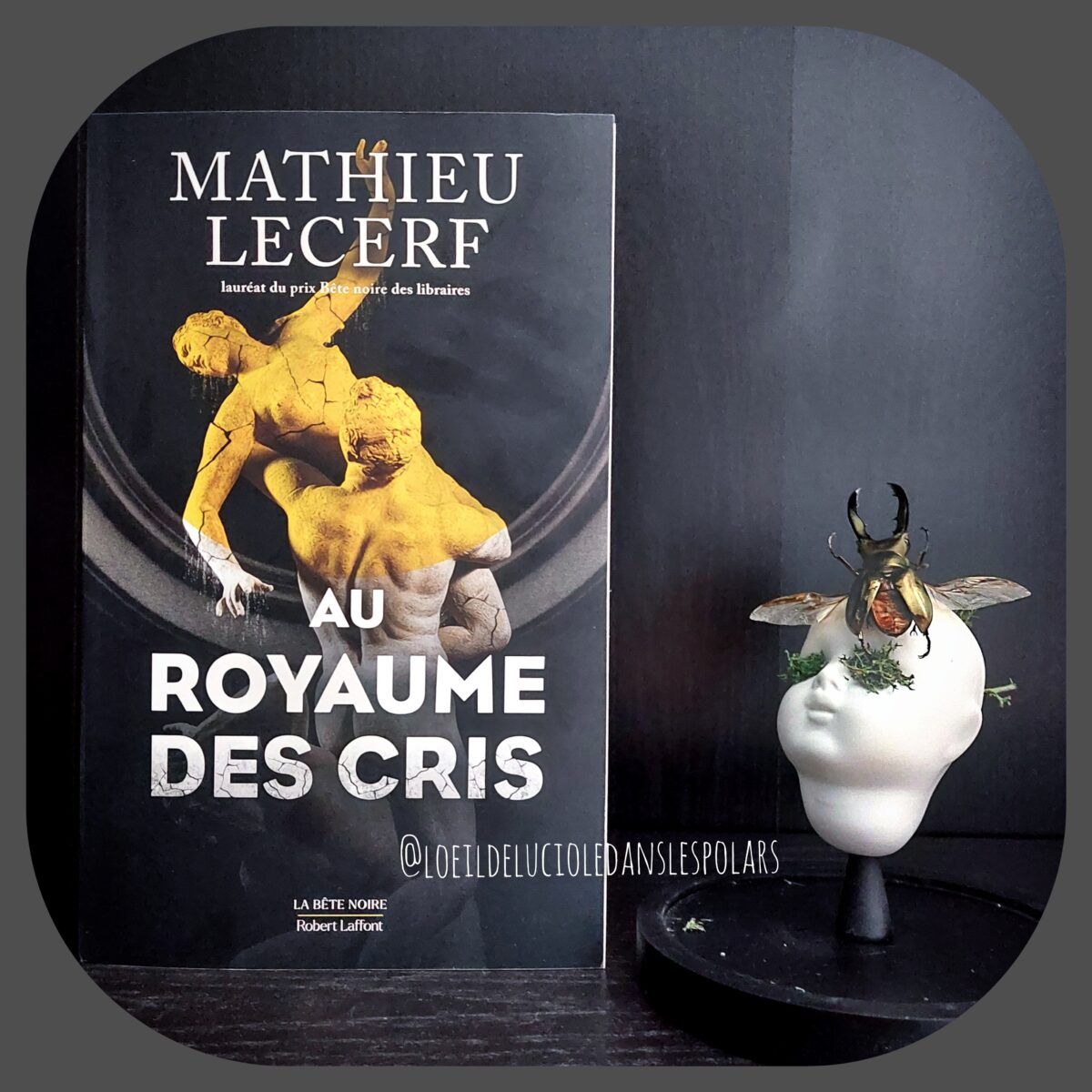 Au royaume des cris de Mathieu Lecerf