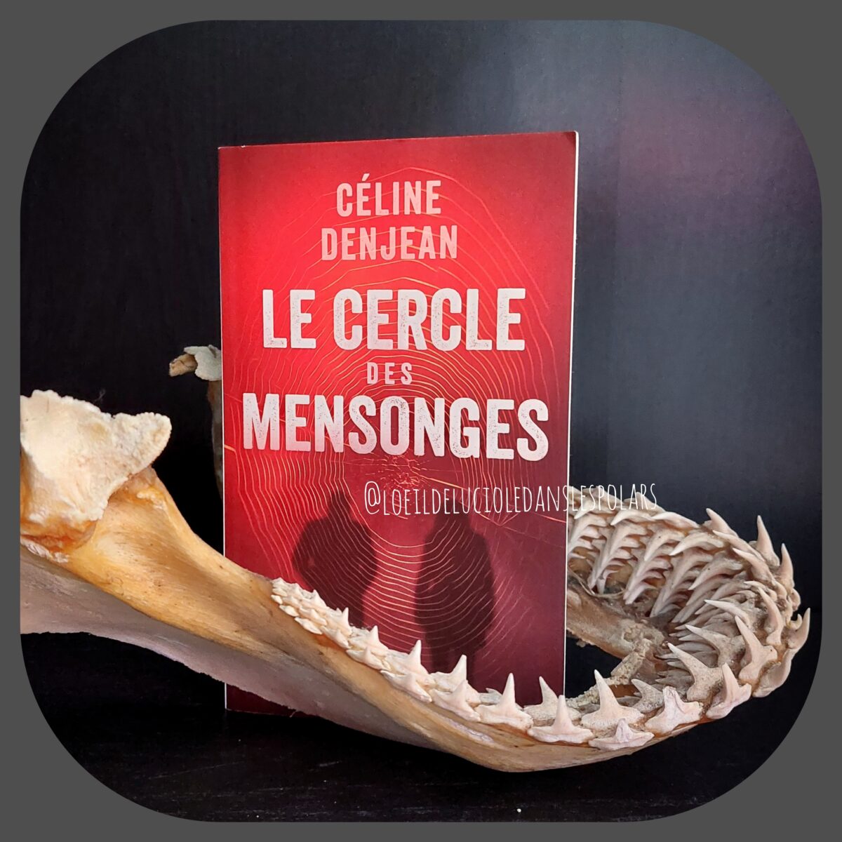 Le cercle des mensonges de Céline Denjean