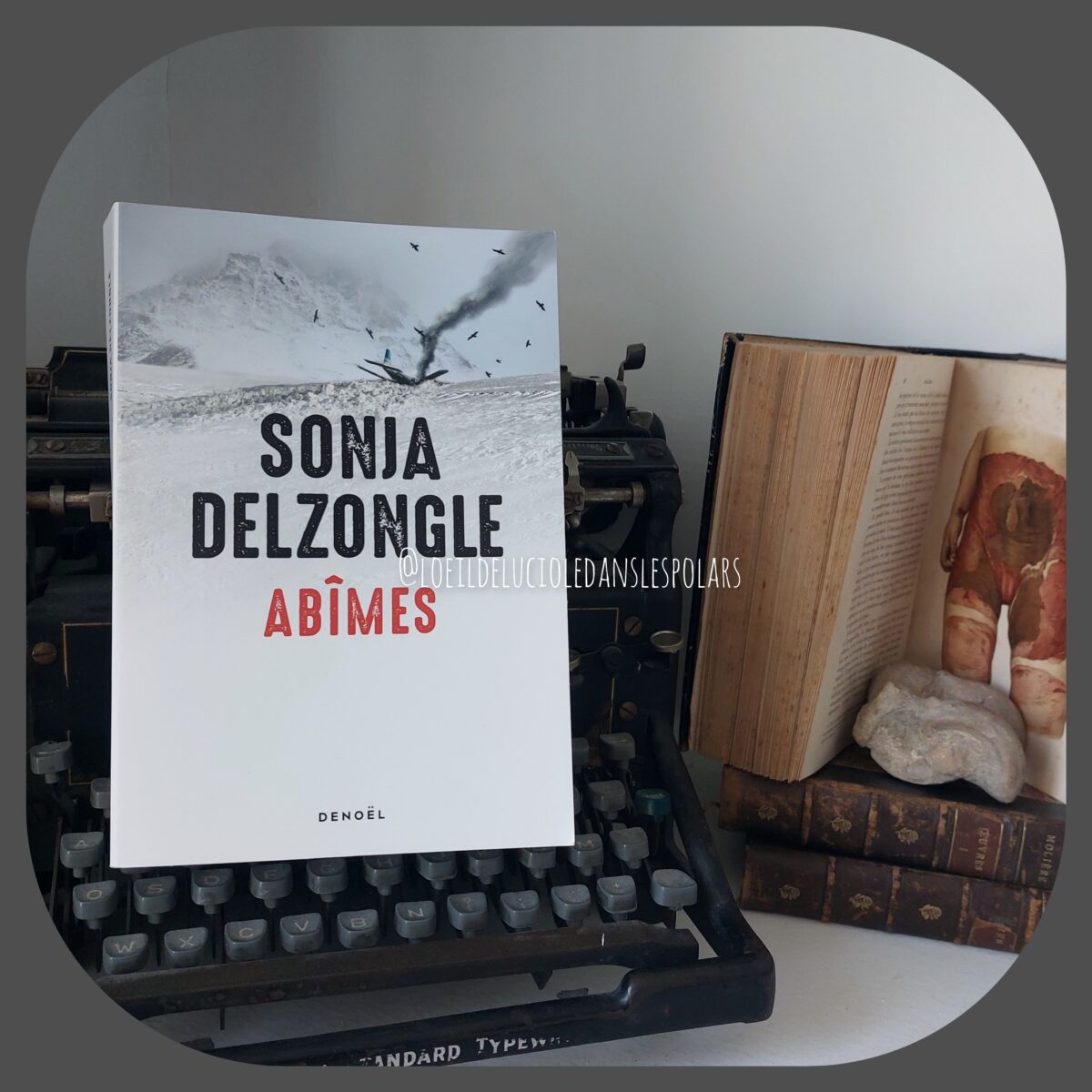 Abîmes de Sonja Delzongle