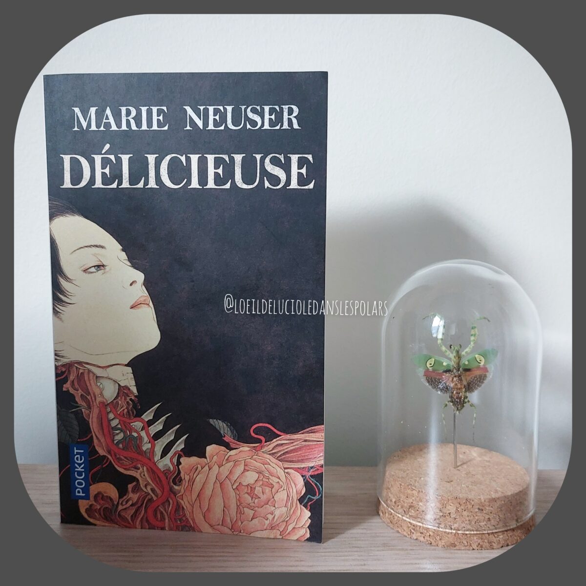Délicieuse de Marie Neuser