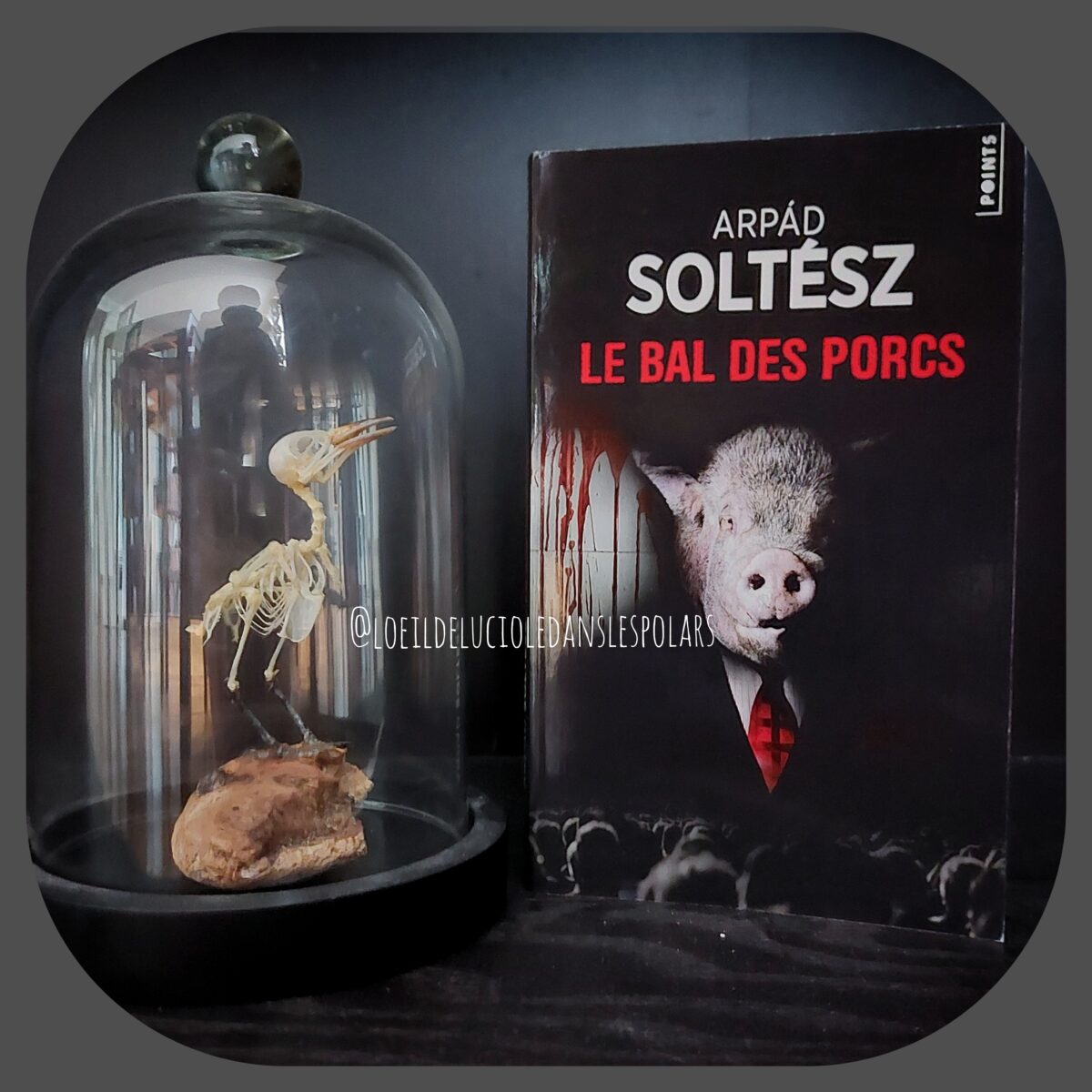 Le bal des porcs d’Árpád Soltész