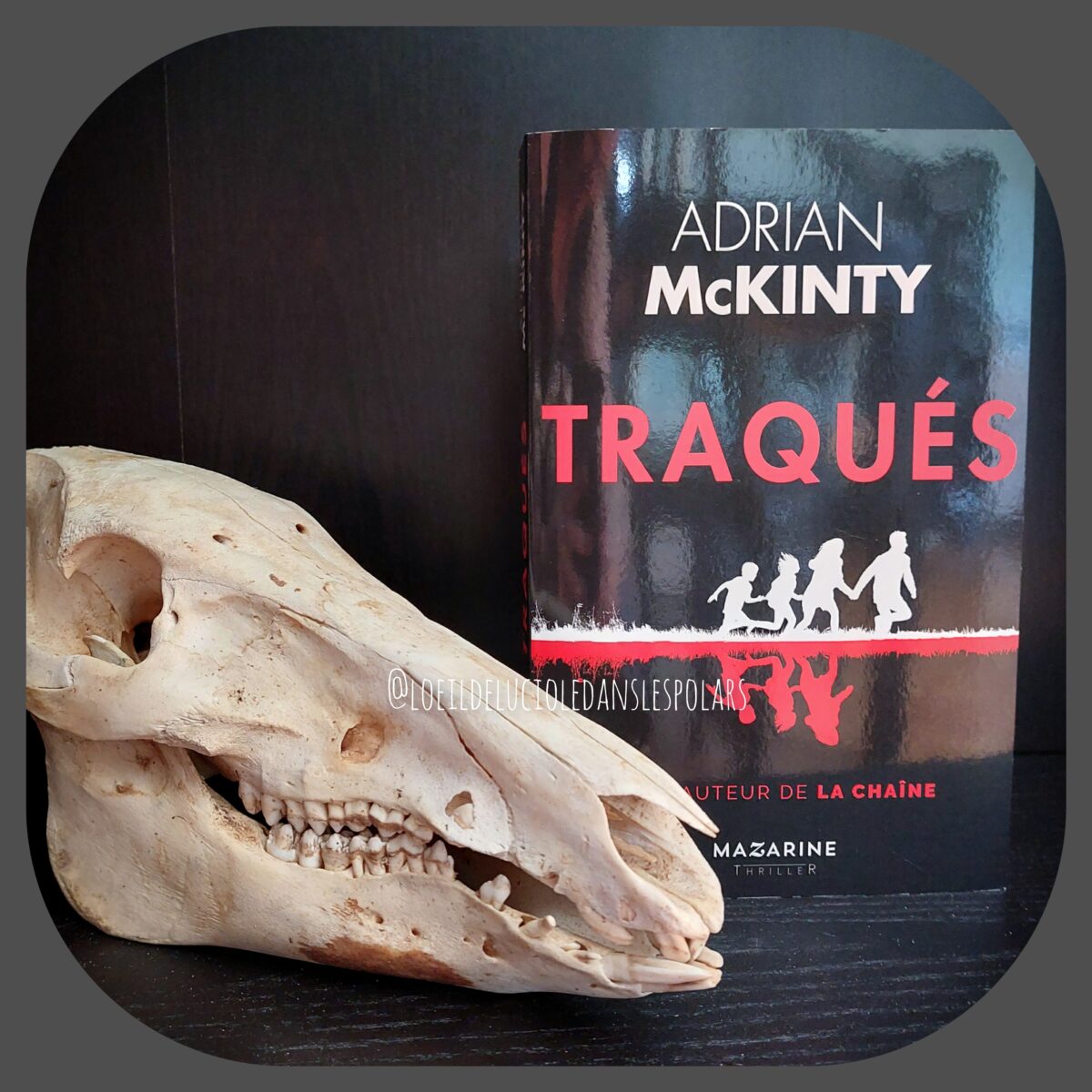 Traqués d’Adrian McKinty