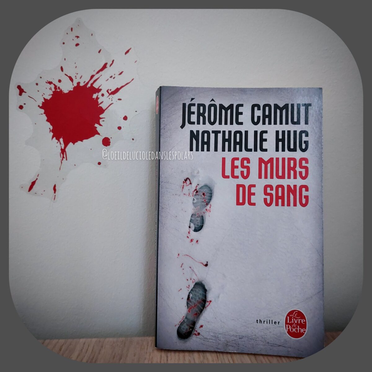 Les murs de sang de Jérôme Camut et Nathalie Hug