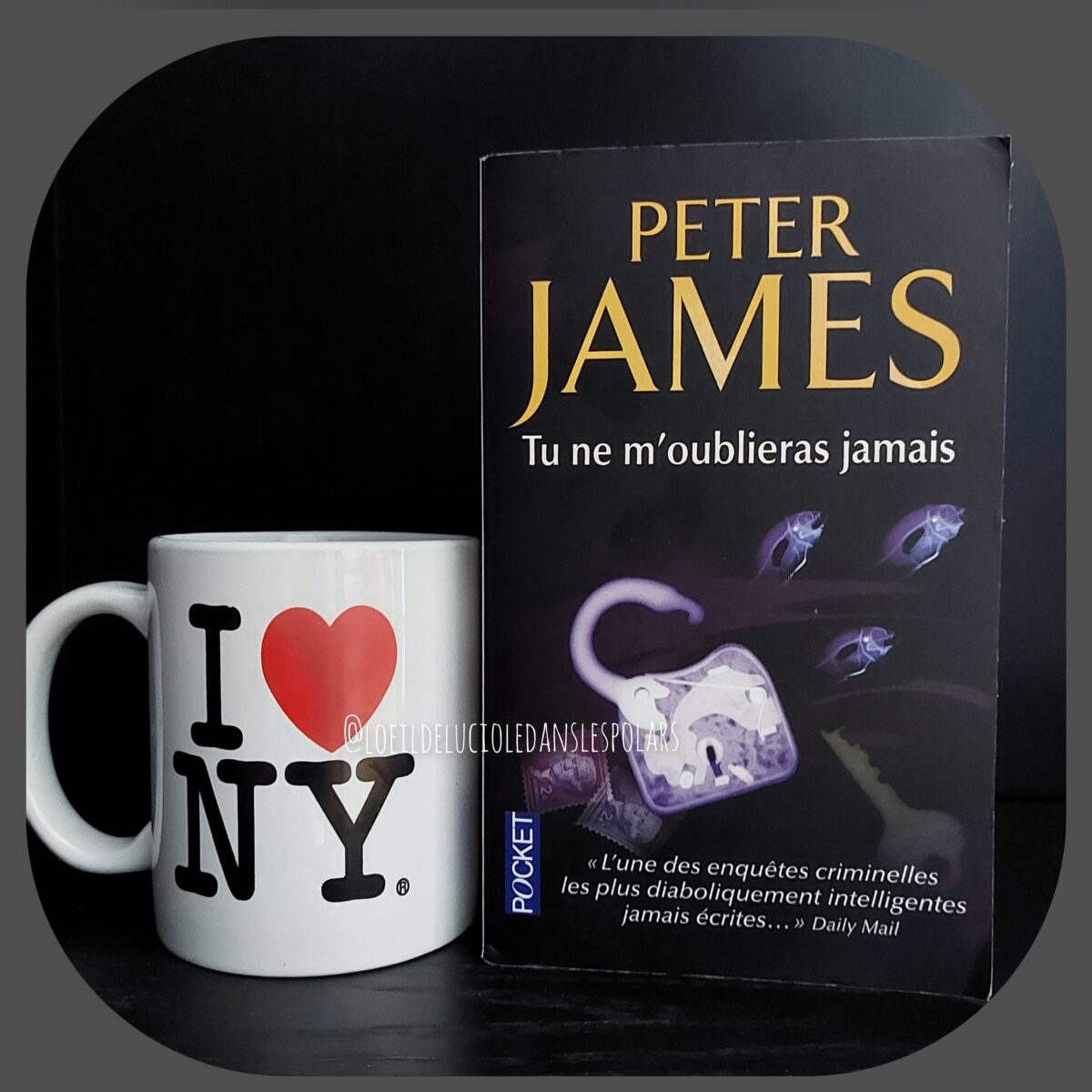 Tu ne m’oublieras jamais de Peter James