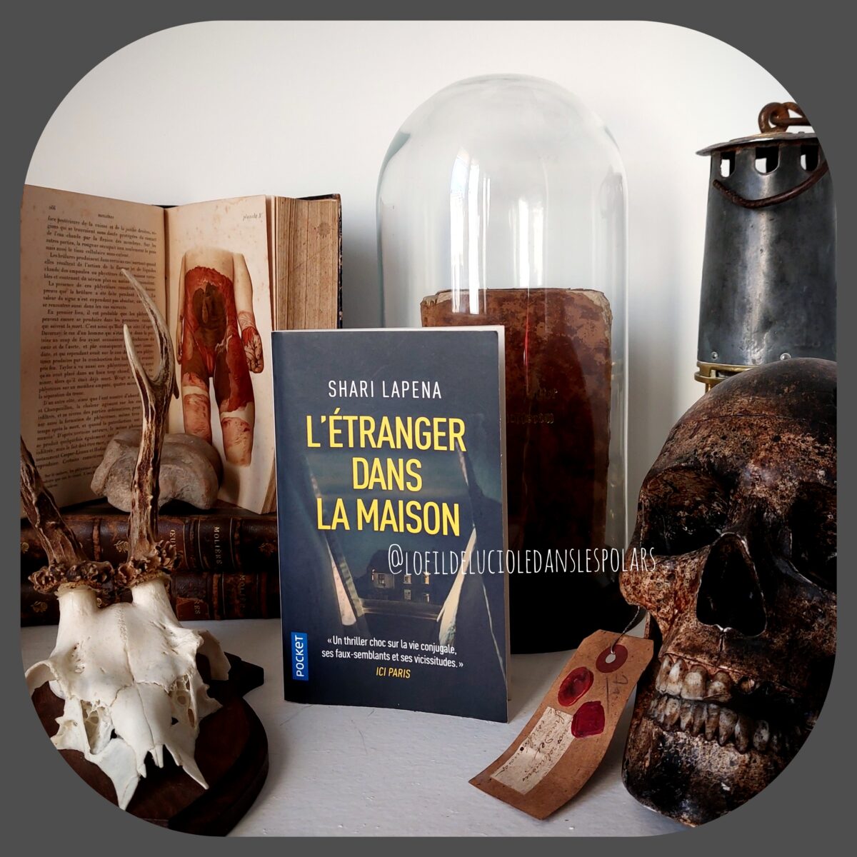 L’étranger dans la maison de Shari Lapena