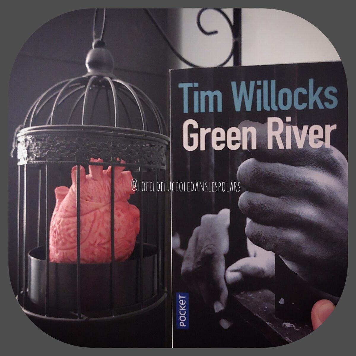 Green River de Tim Willocks