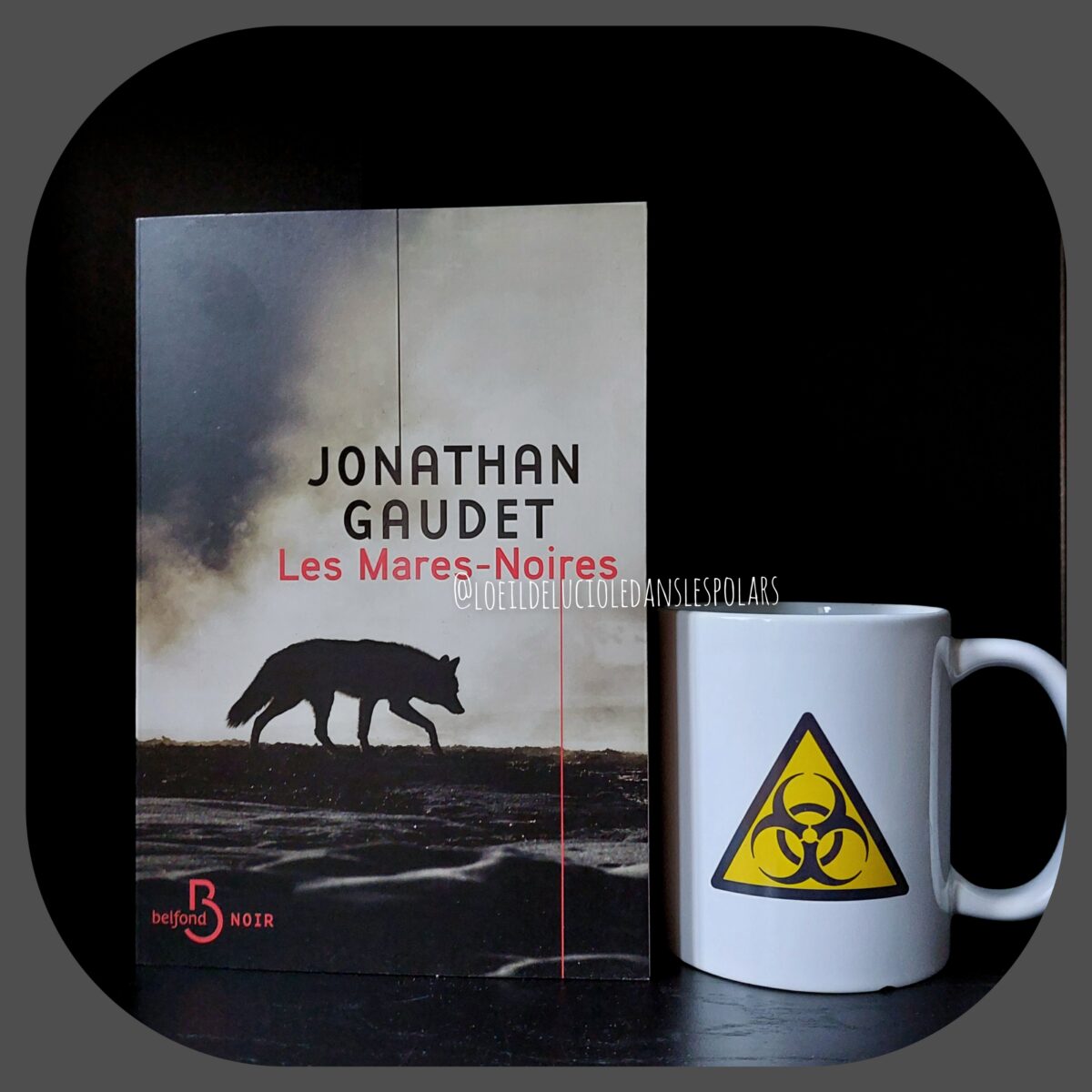 Les Mares-Noires de Jonathan Gaudet