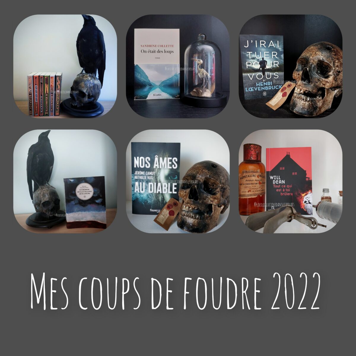 Mes coups de foudre 2022