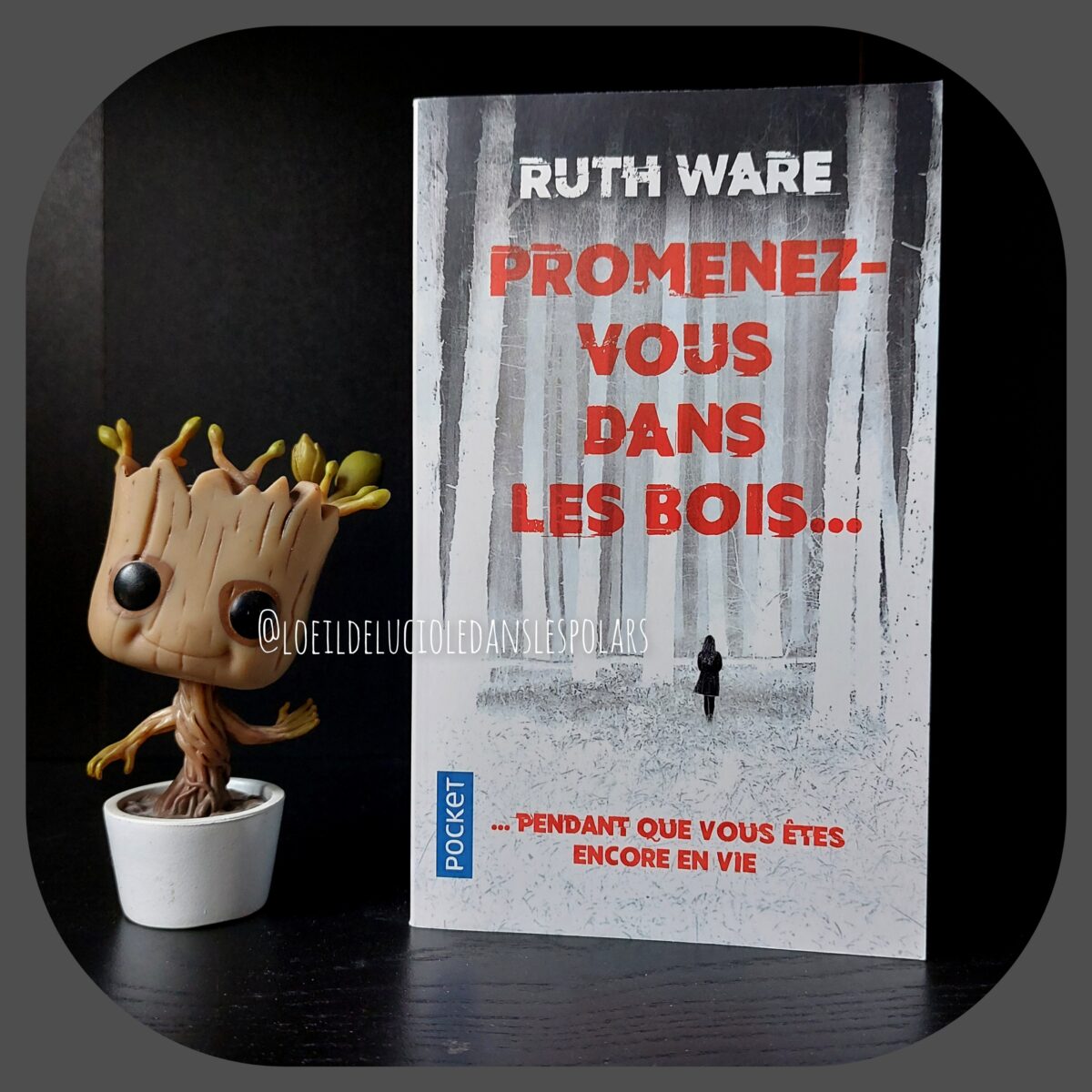 Promenez-vous dans les bois… pendant que vous êtes encore en vie de Ruth Ware