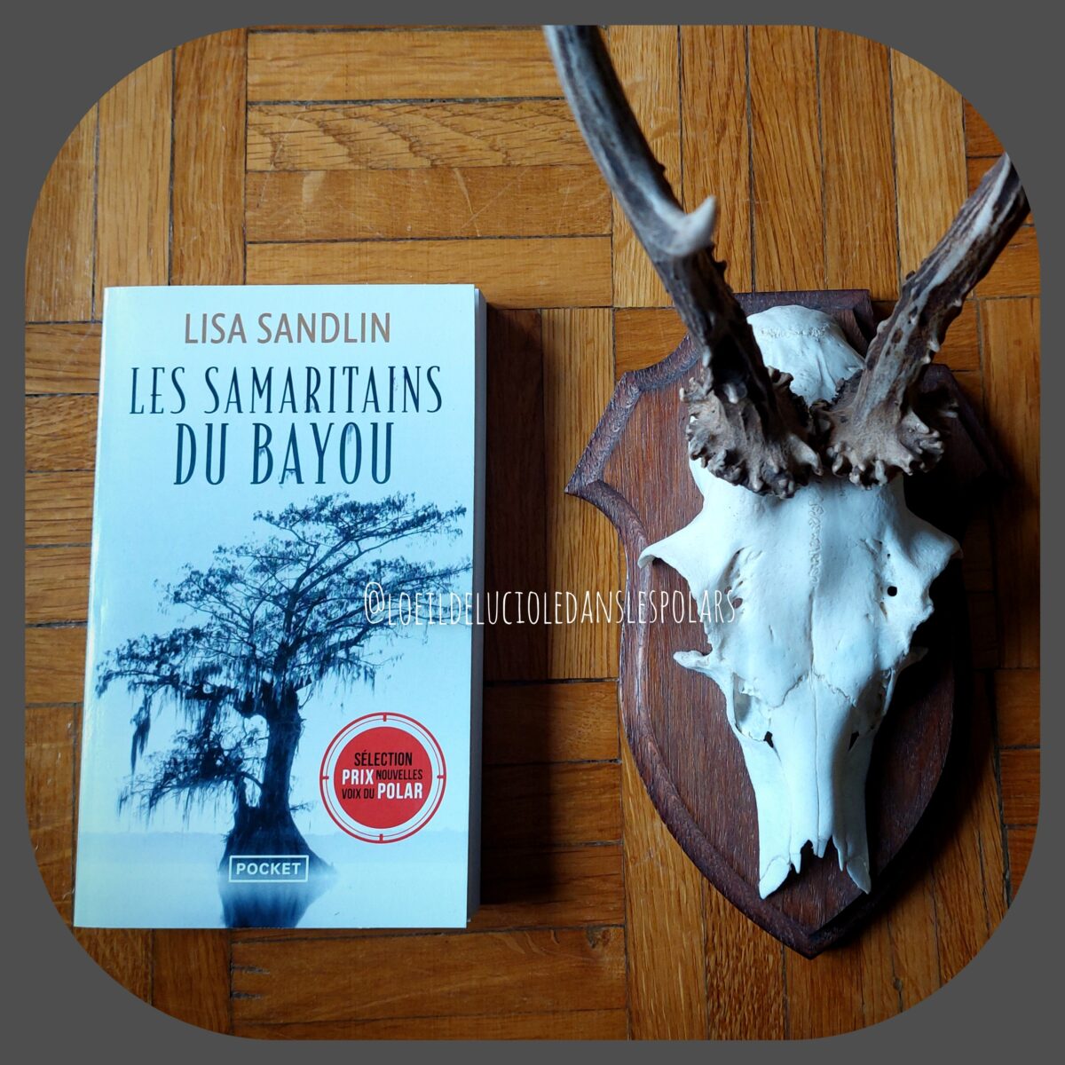 Les Samaritains du bayou de Lisa Sandlin