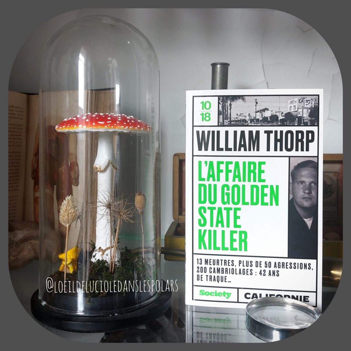 L’affaire du Golden State Killer de William Thorp