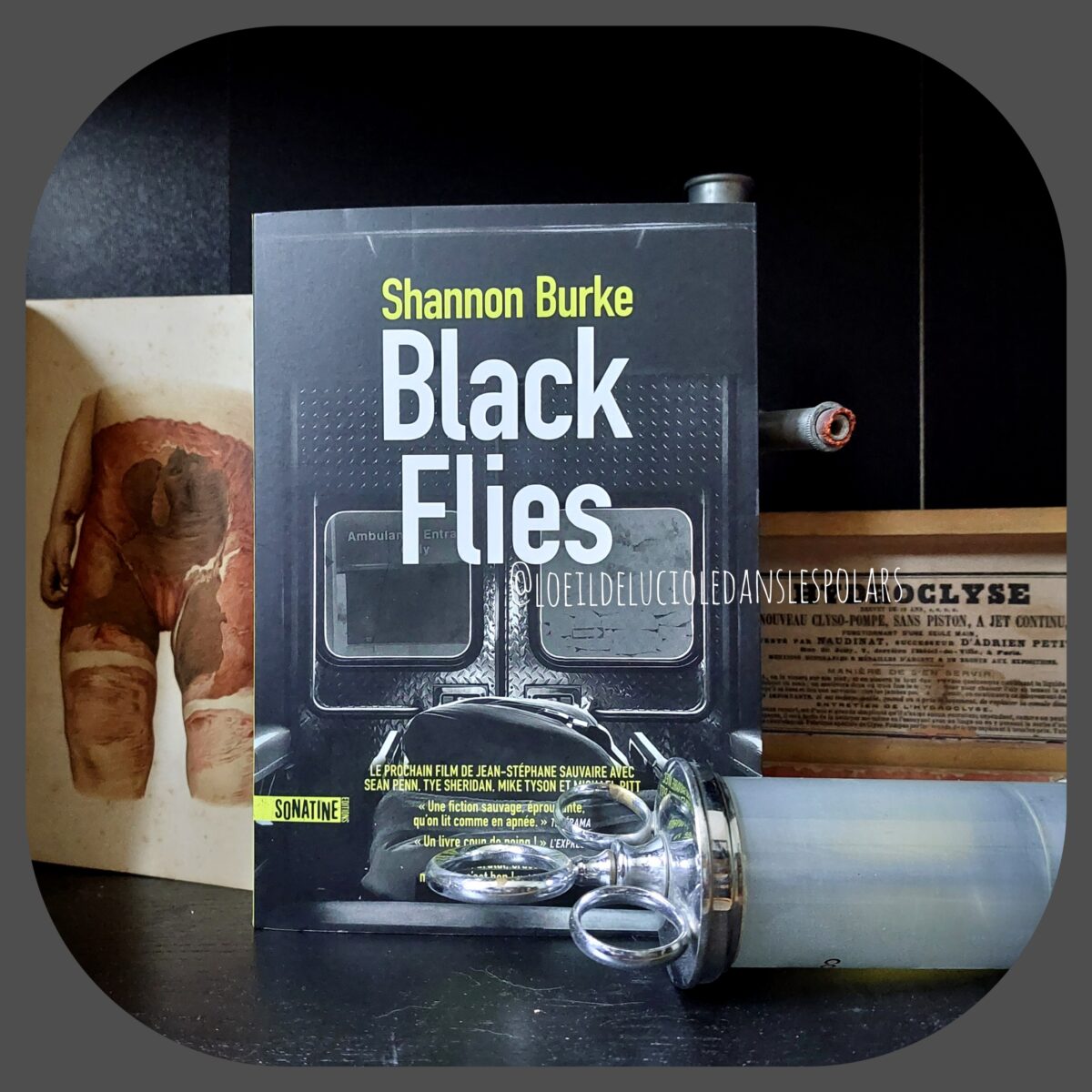 Black flies de Shannon Burke