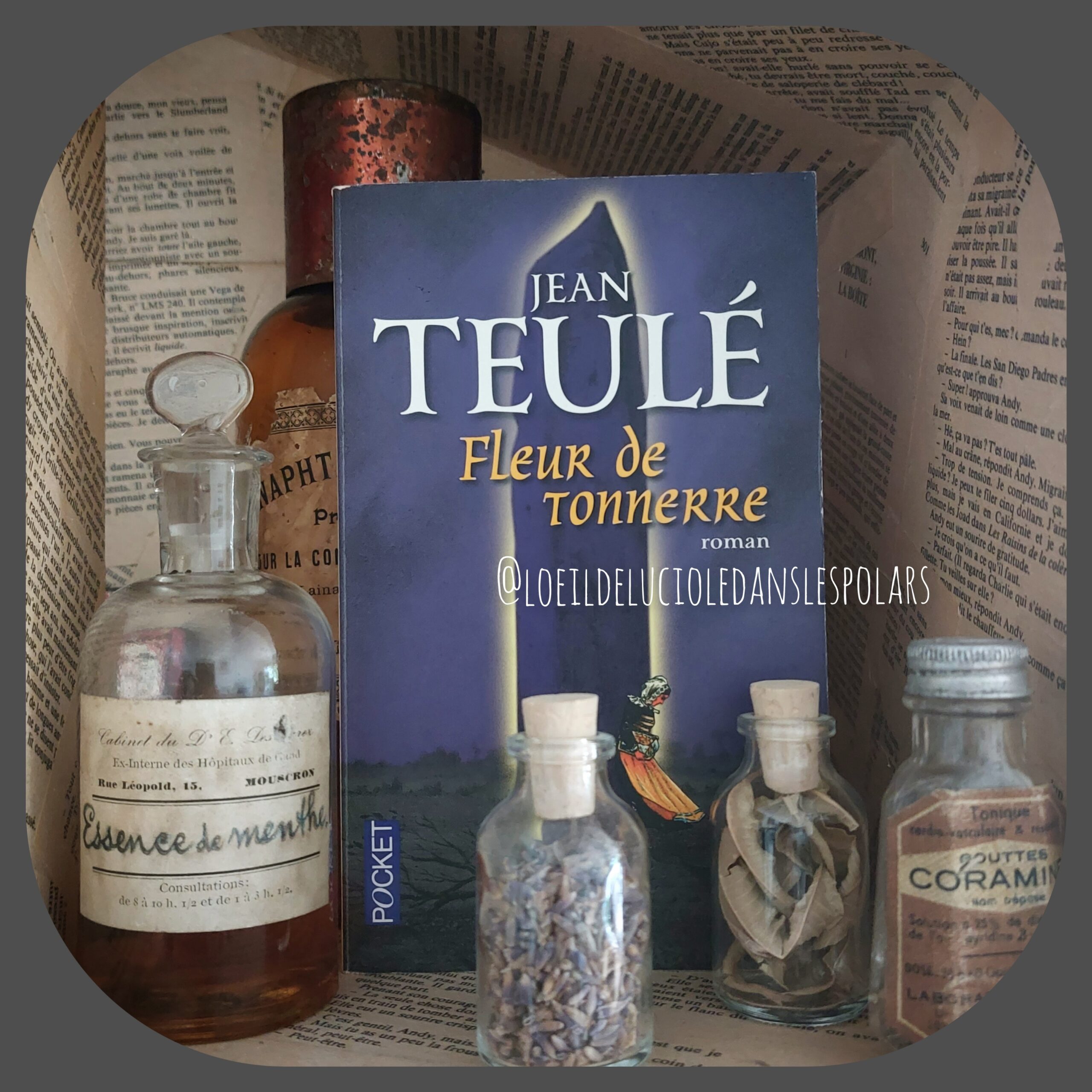 Fleur de tonnerre de Jean Teulé