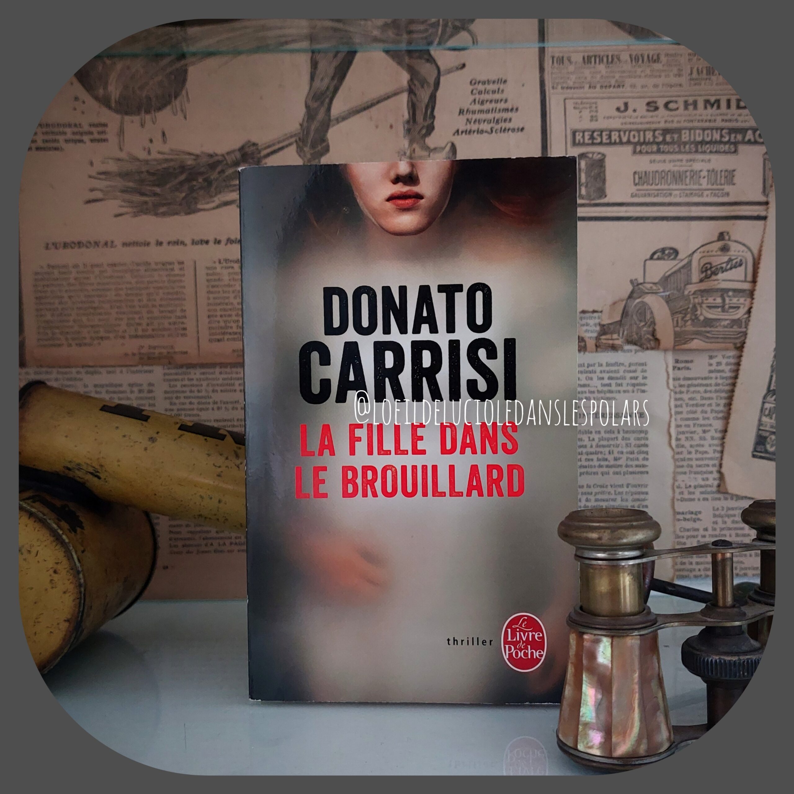 La fille dans le brouillard de Donato Carrisi